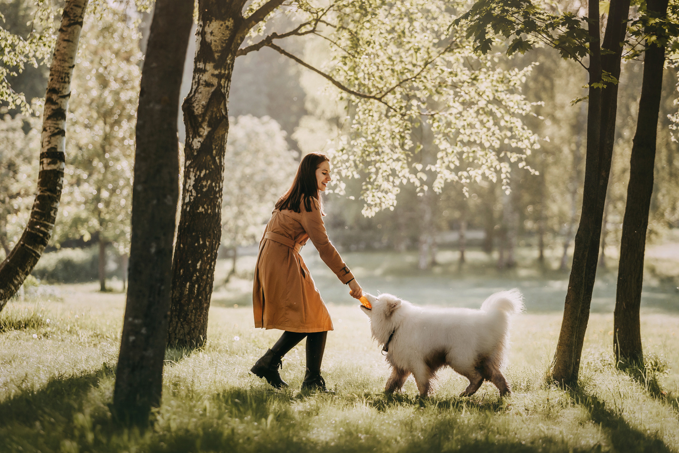 Эффи. Фотограф-анималист Елена Радченко, Москва