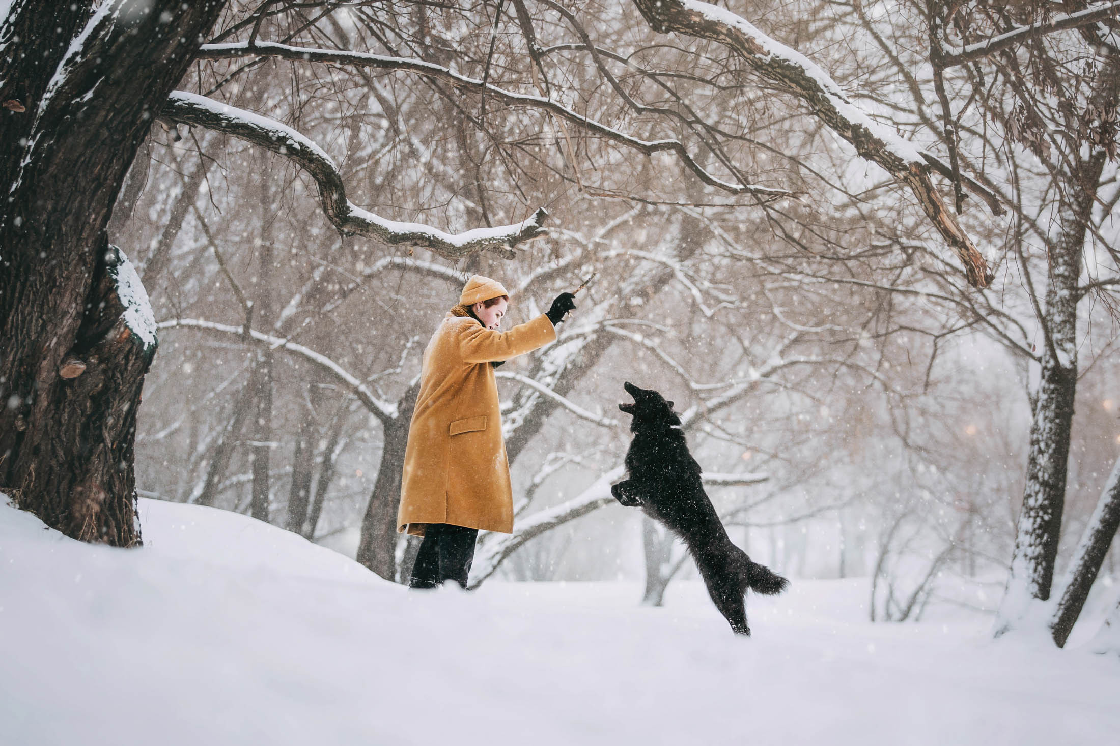 Мерлин и Адидас. Фотограф-анималист Елена Радченко, Москва