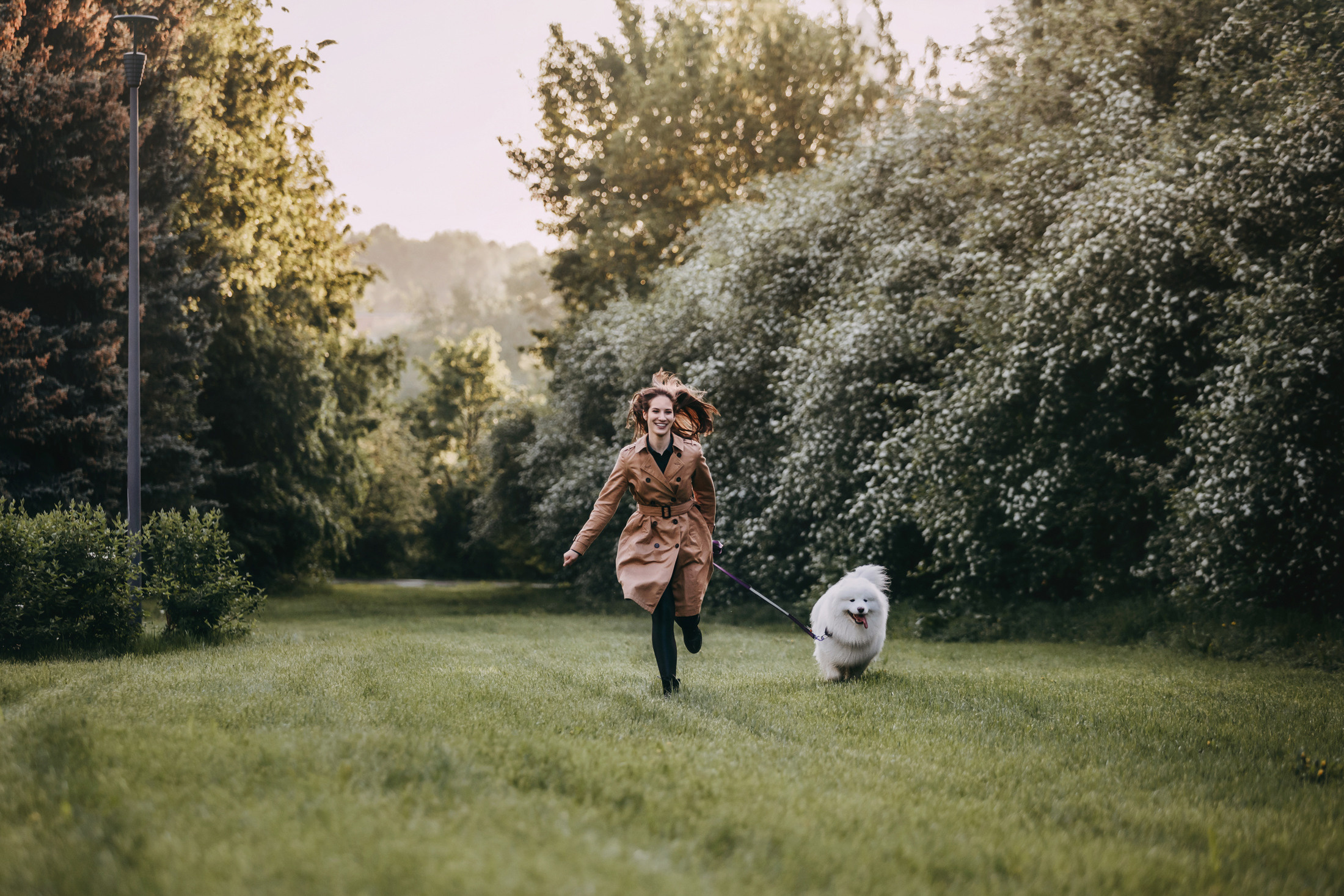 Эффи. Фотограф-анималист Елена Радченко, Москва