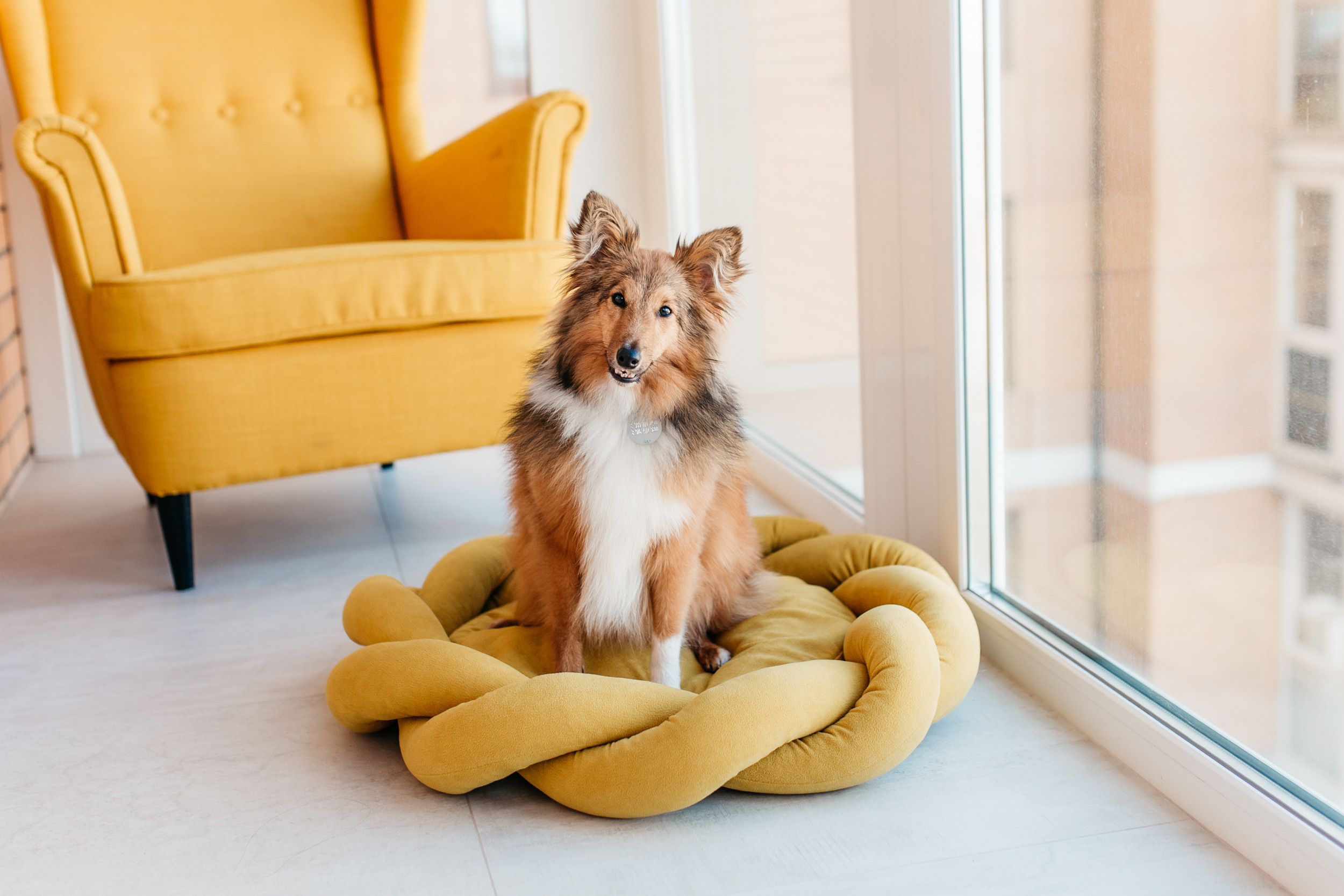 Магазин Bumbaboo. Фотограф-анималист Елена Радченко, Москва