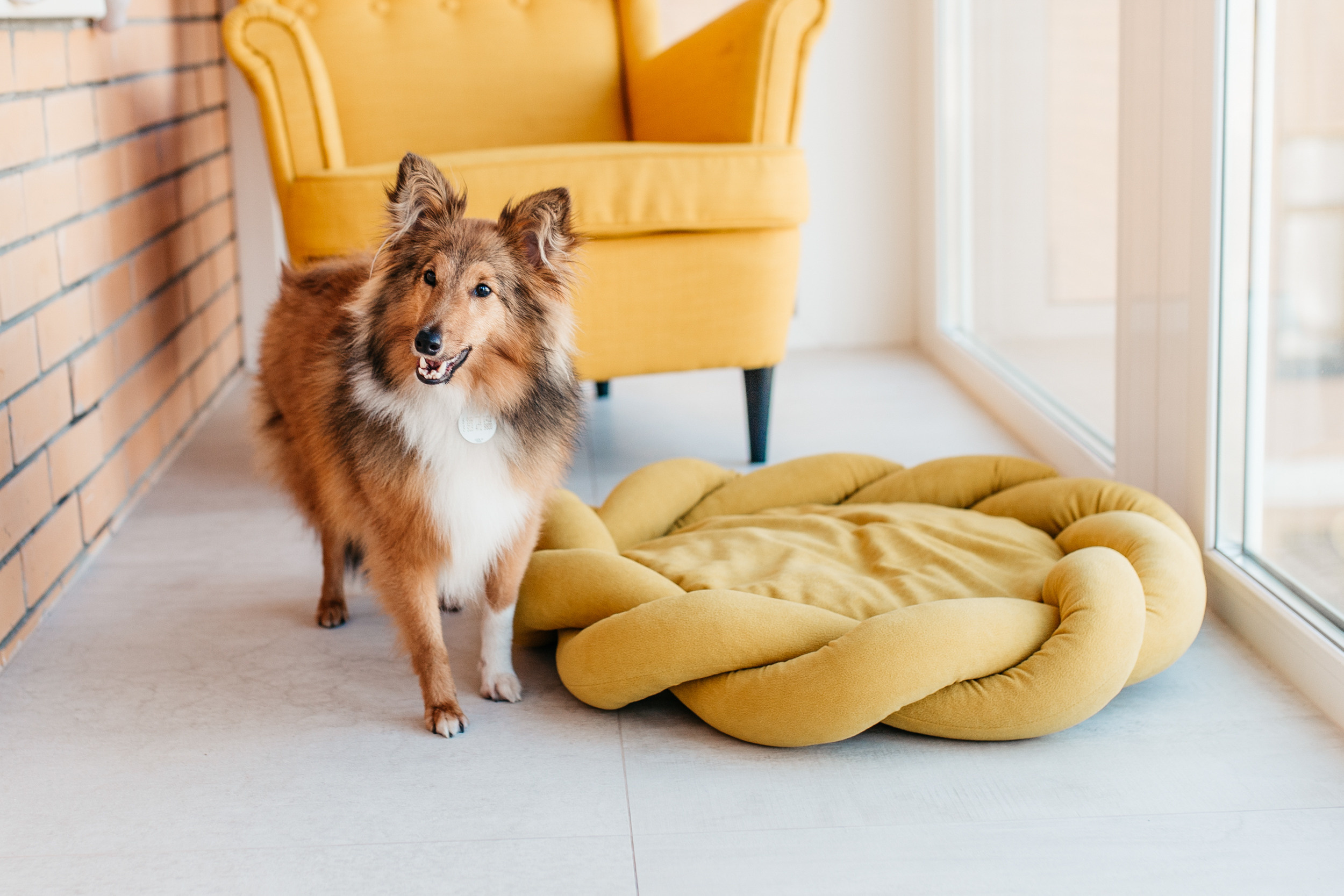 Магазин Bumbaboo. Фотограф-анималист Елена Радченко, Москва