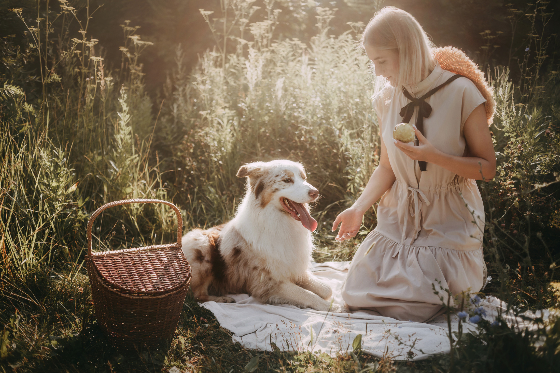 Хаул. Фотограф-анималист Елена Радченко, Москва