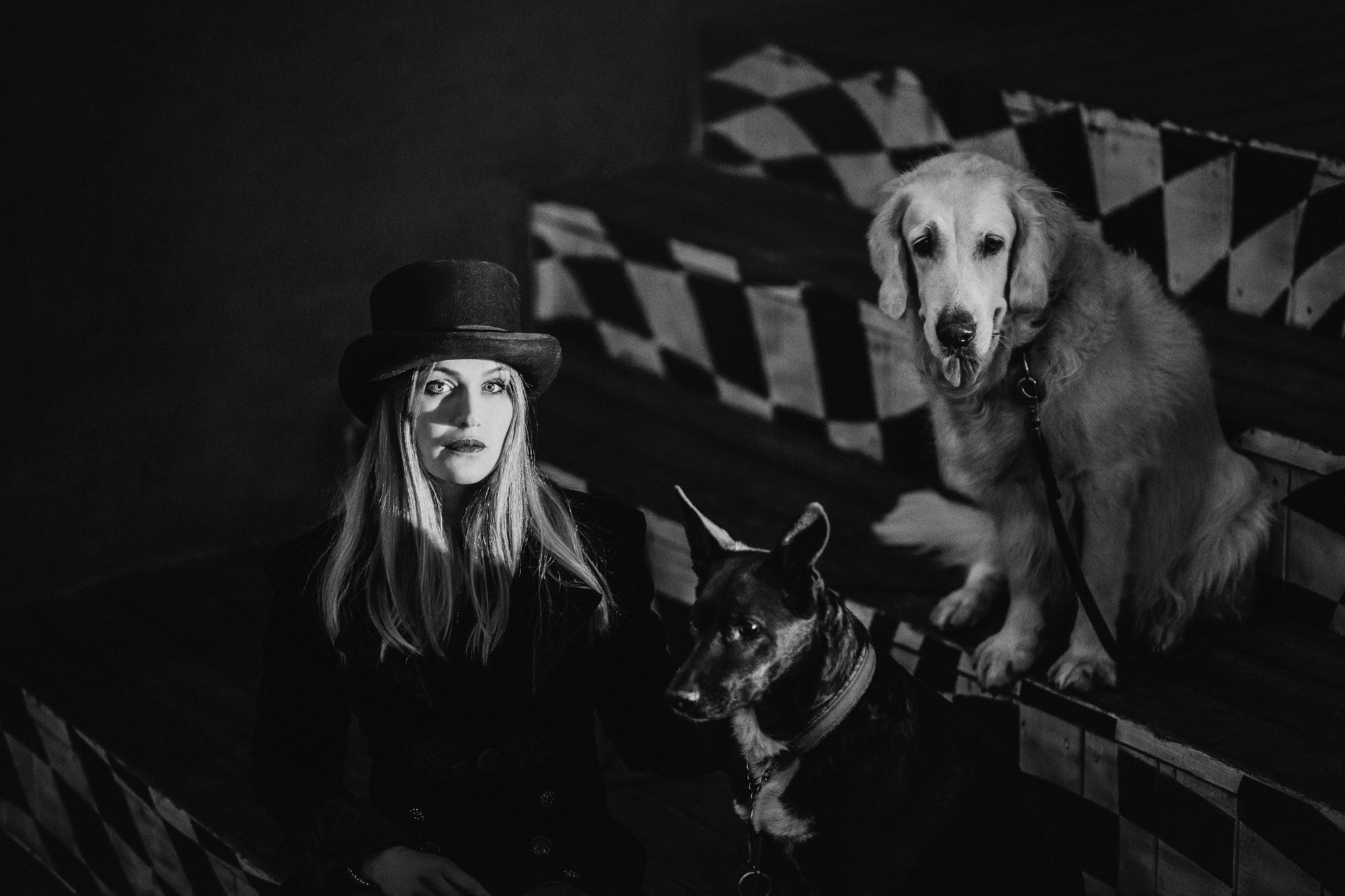 Ира, Бэлла и Альма. Фотограф-анималист Елена Радченко, Москва