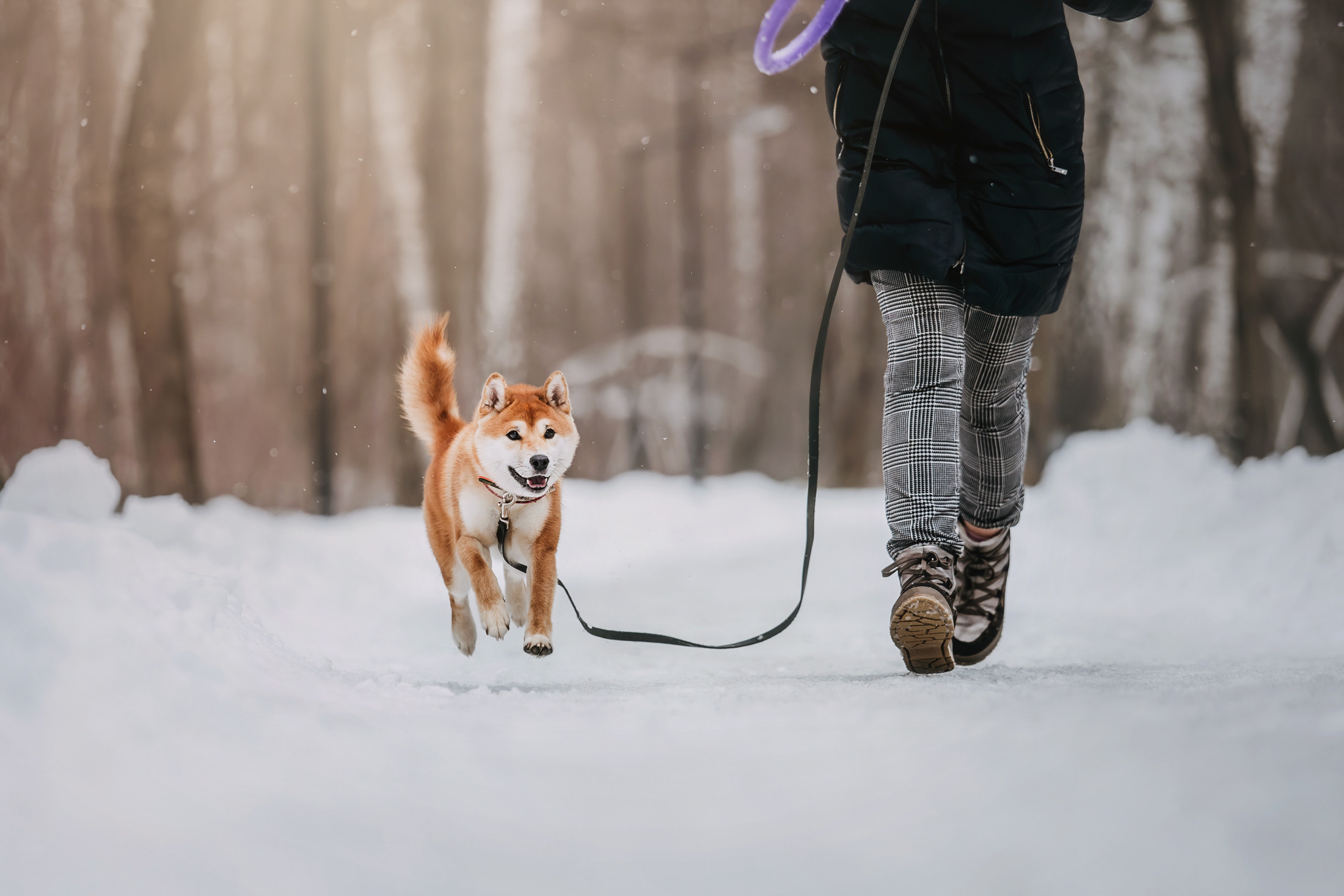 Юдай. Фотограф-анималист Елена Радченко, Москва