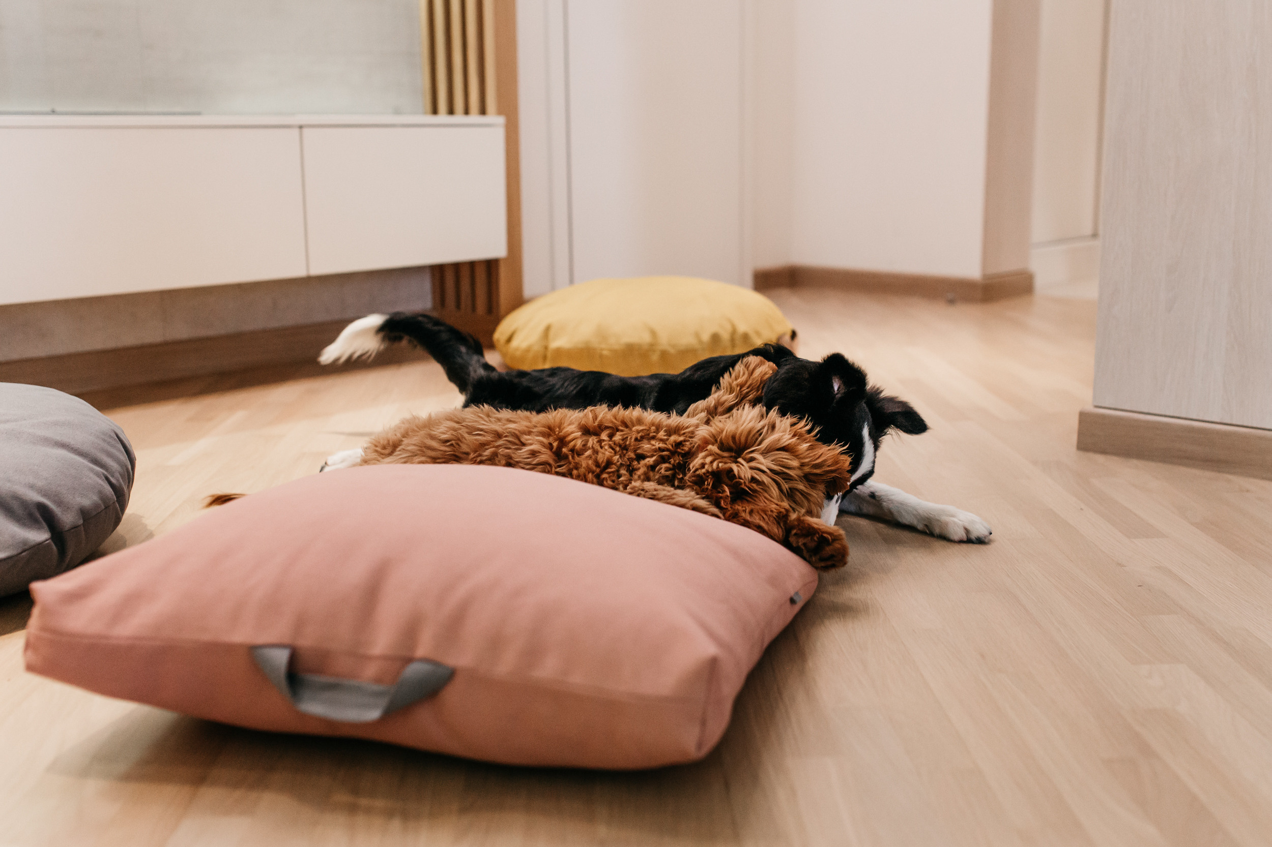 Магазин Bumbaboo. Фотограф-анималист Елена Радченко, Москва