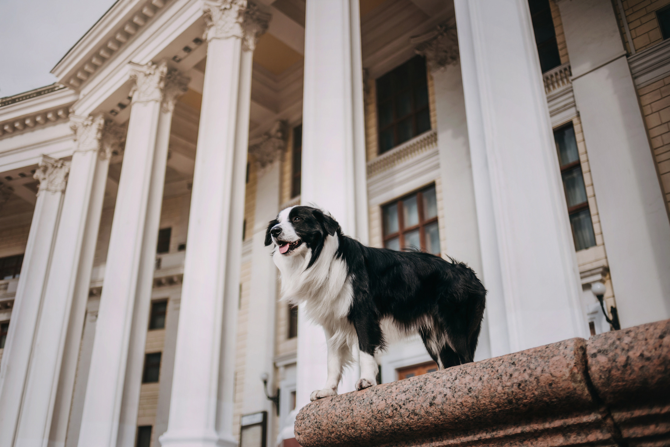 Найт. Фотограф-анималист Елена Радченко, Москва