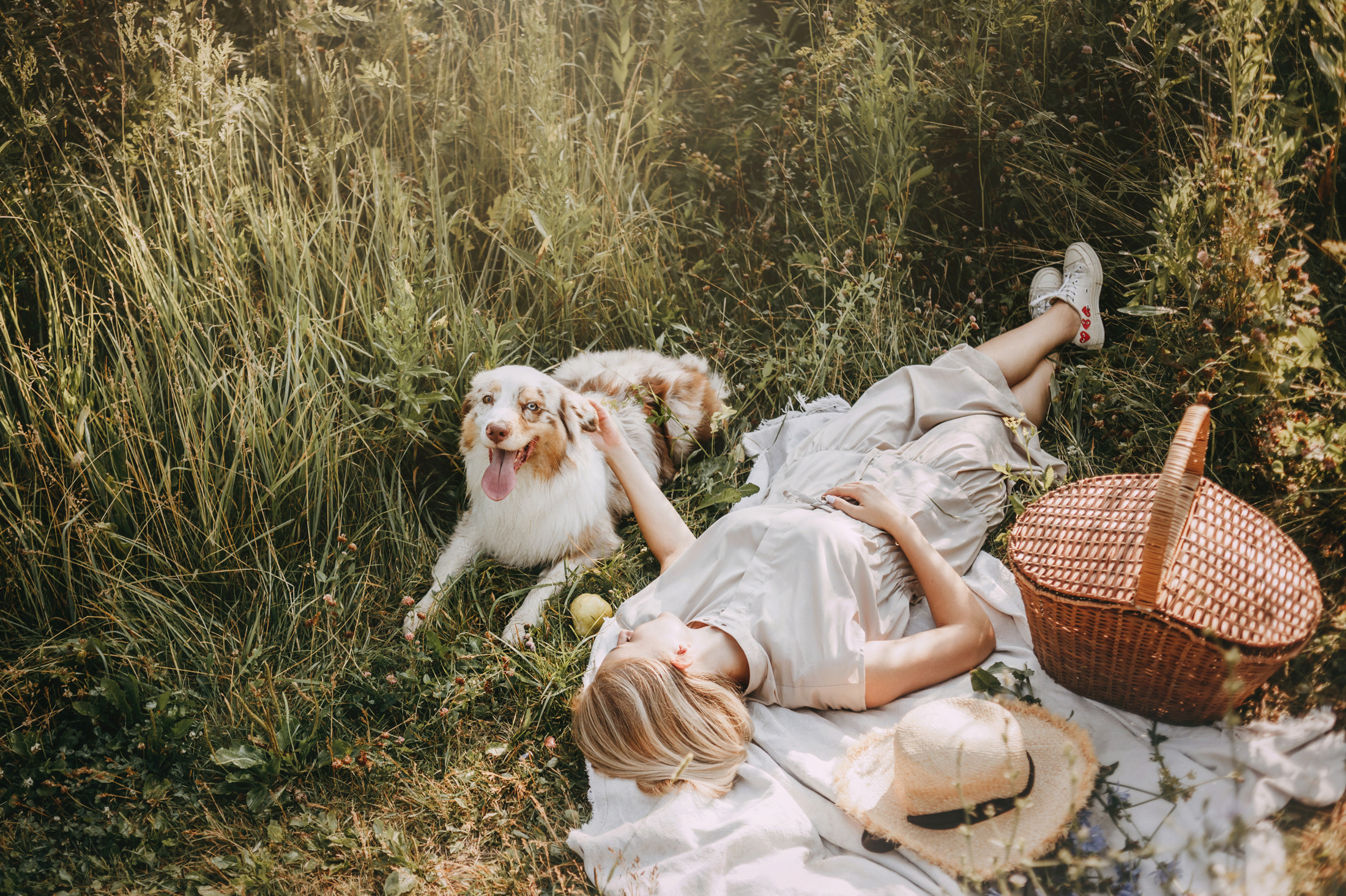 Хаул. Фотограф-анималист Елена Радченко, Москва