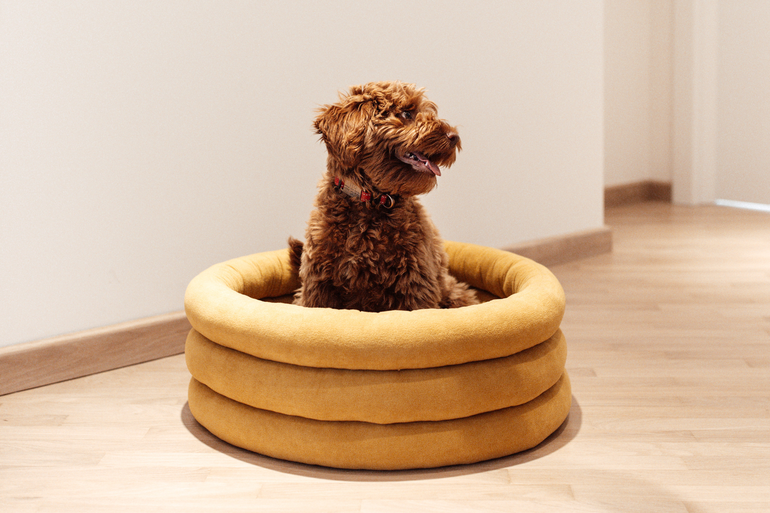 Магазин Bumbaboo. Фотограф-анималист Елена Радченко, Москва