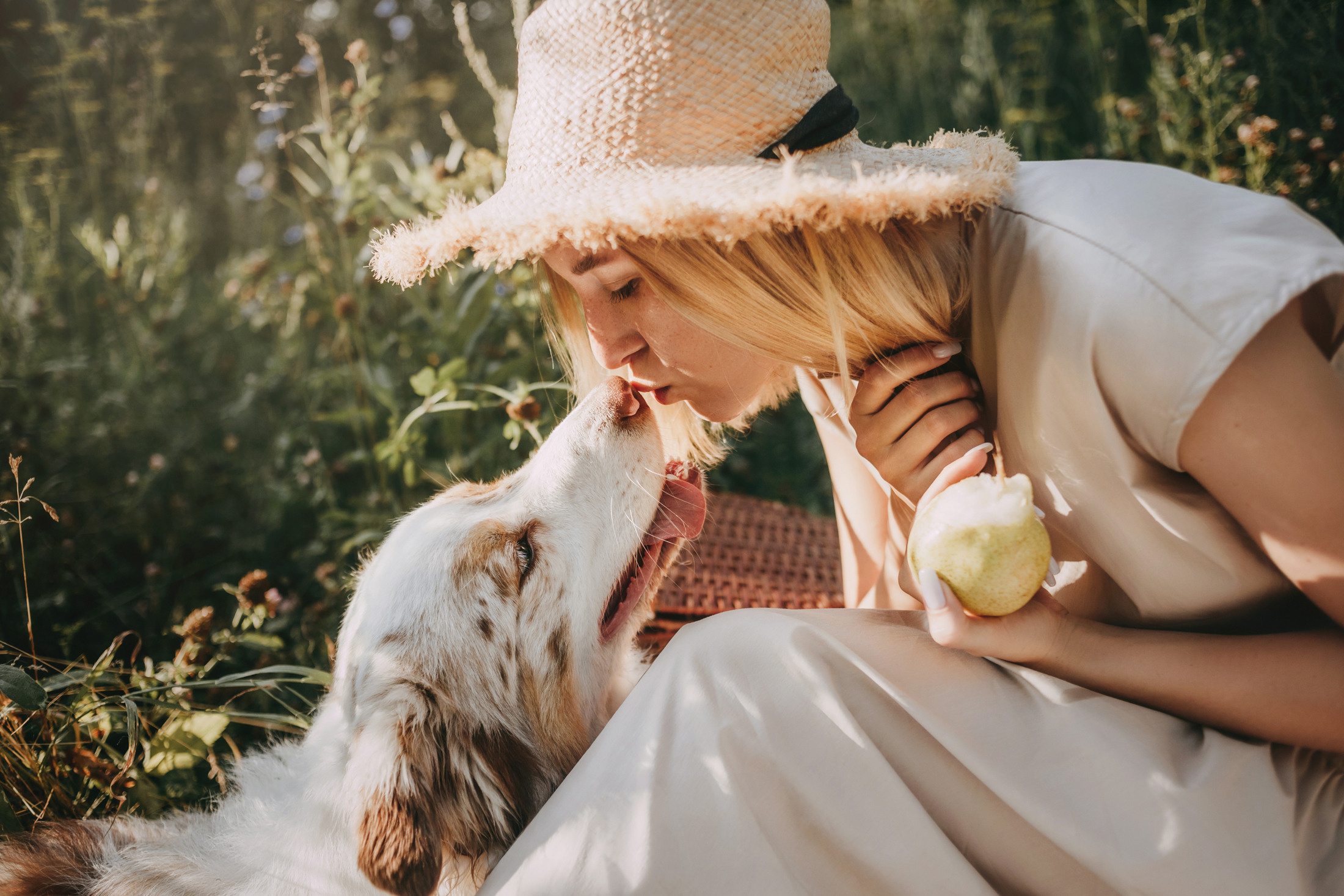 Хаул. Фотограф-анималист Елена Радченко, Москва