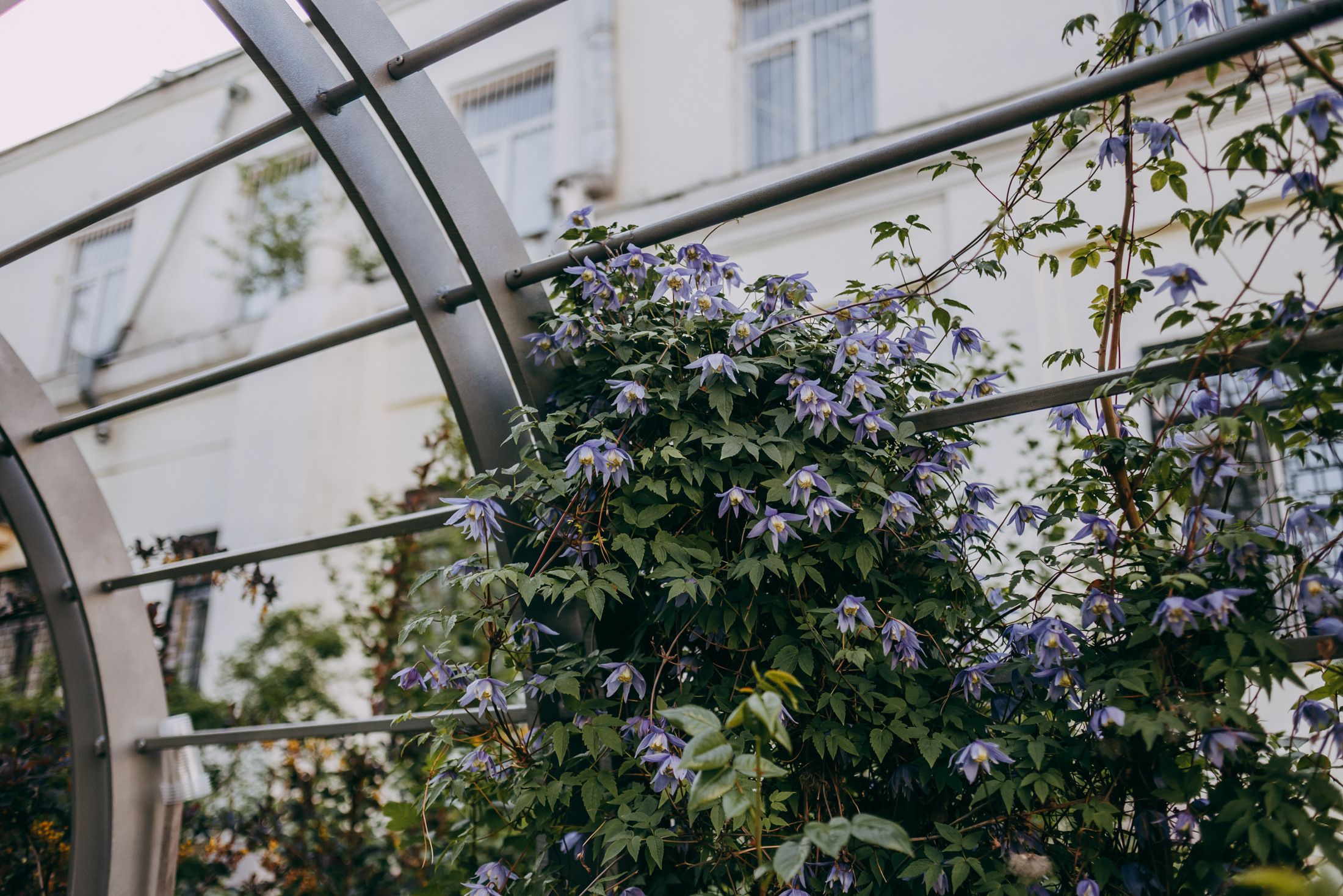 Оля и Кубик. Фотограф-анималист Елена Радченко, Москва