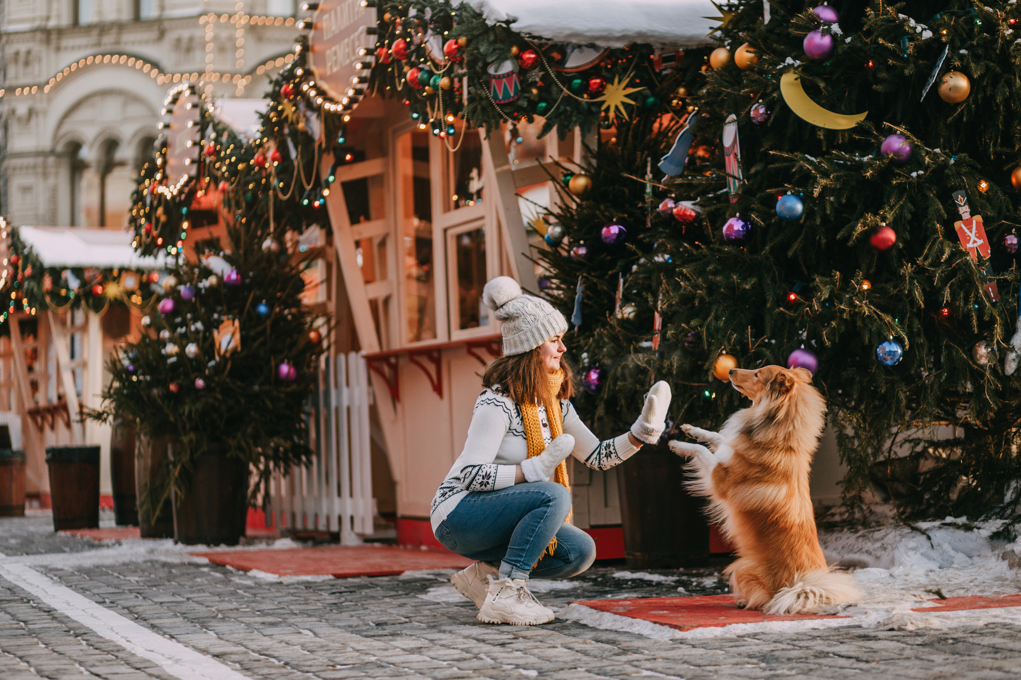 Ирэн и Тео. Фотограф-анималист Елена Радченко, Москва