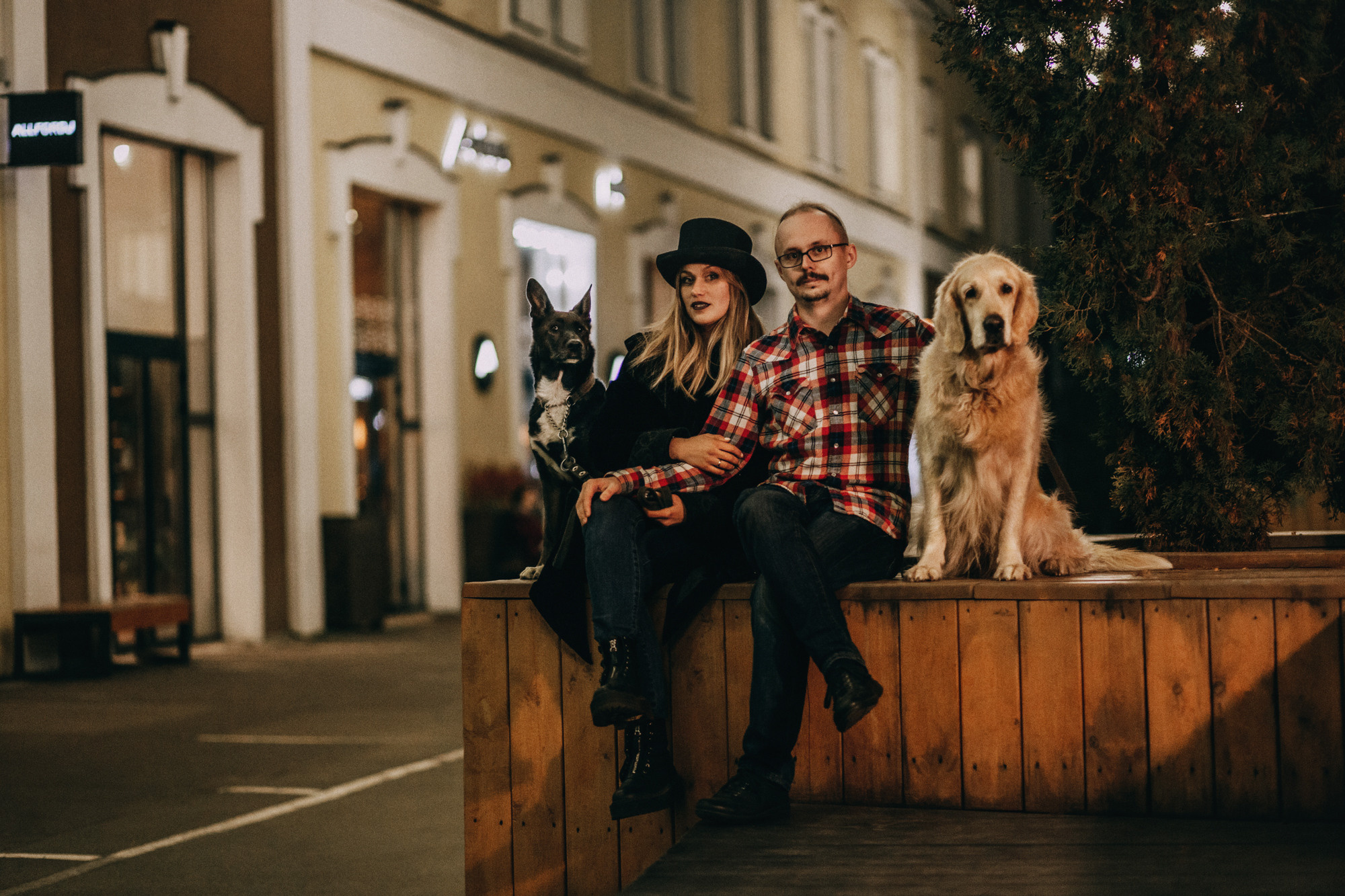 Ира, Бэлла и Альма. Фотограф-анималист Елена Радченко, Москва