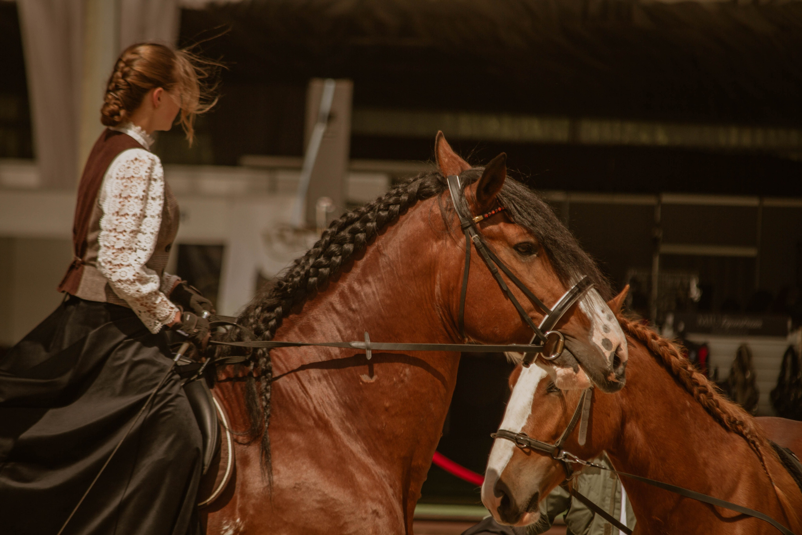 ИППОСФЕРА — Международная конная выставка. Создадим шедевр? Виталина и её фотоискусство