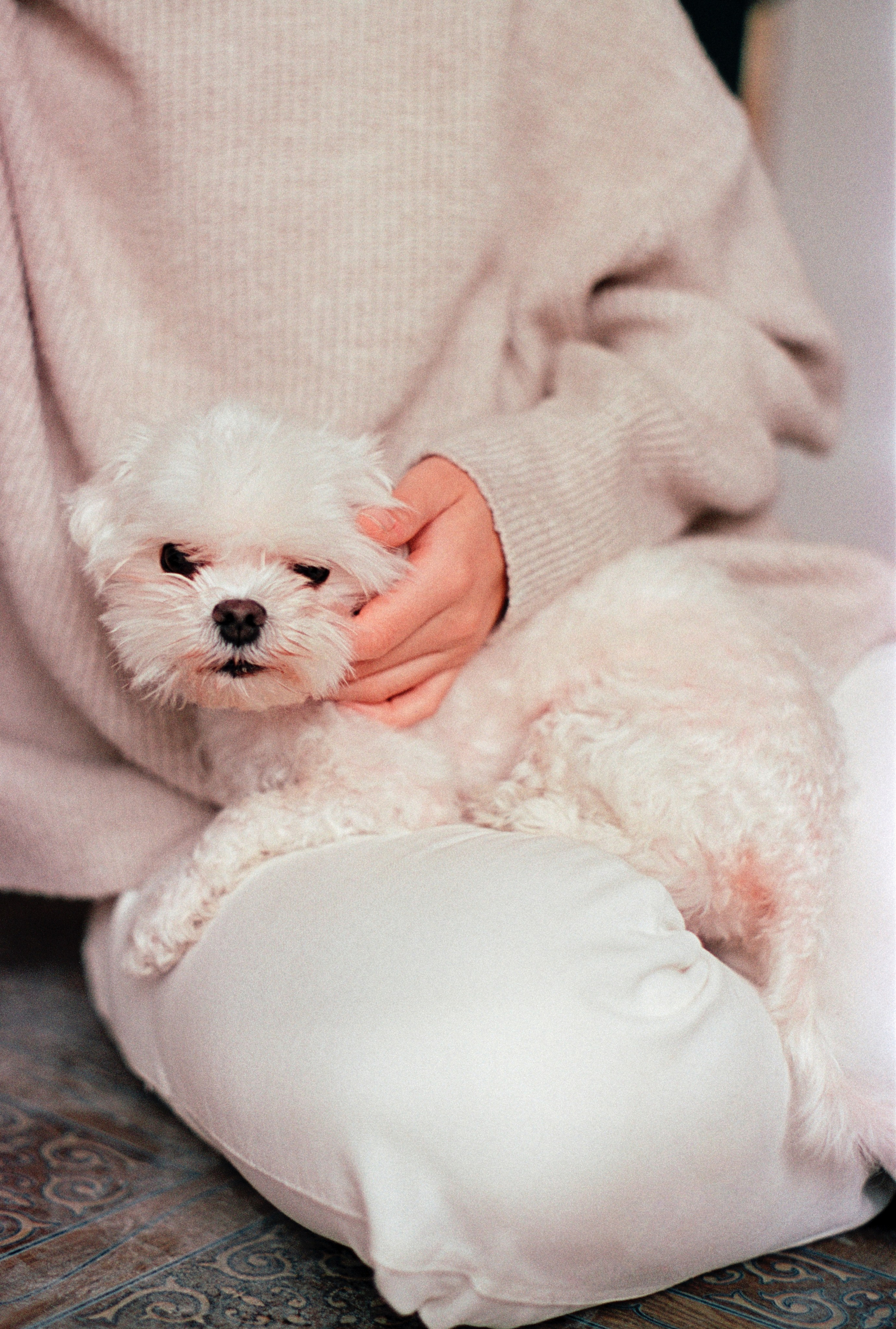 D.N. Стилист и плёночный фотограф Анастасия Шлокова в Санкт-Петербурге и Москве