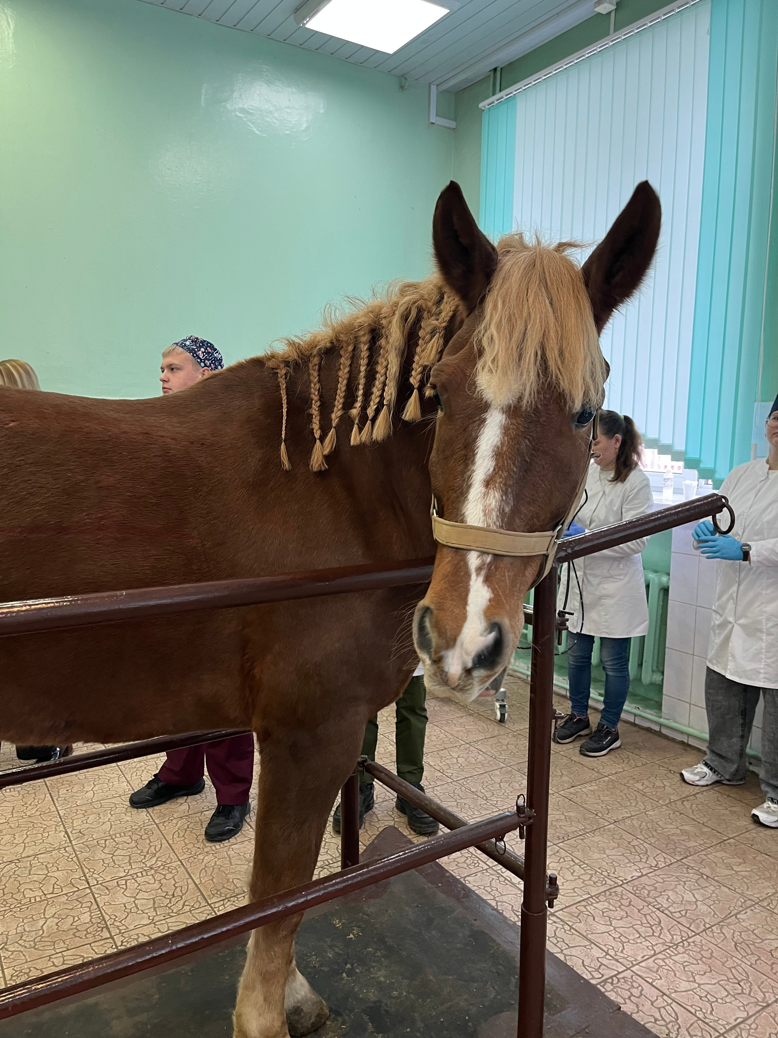 Конференции/Форумы/Выставки 2025. МОТОШКОЛА в городе Витебске. Обучение категории А и А1
