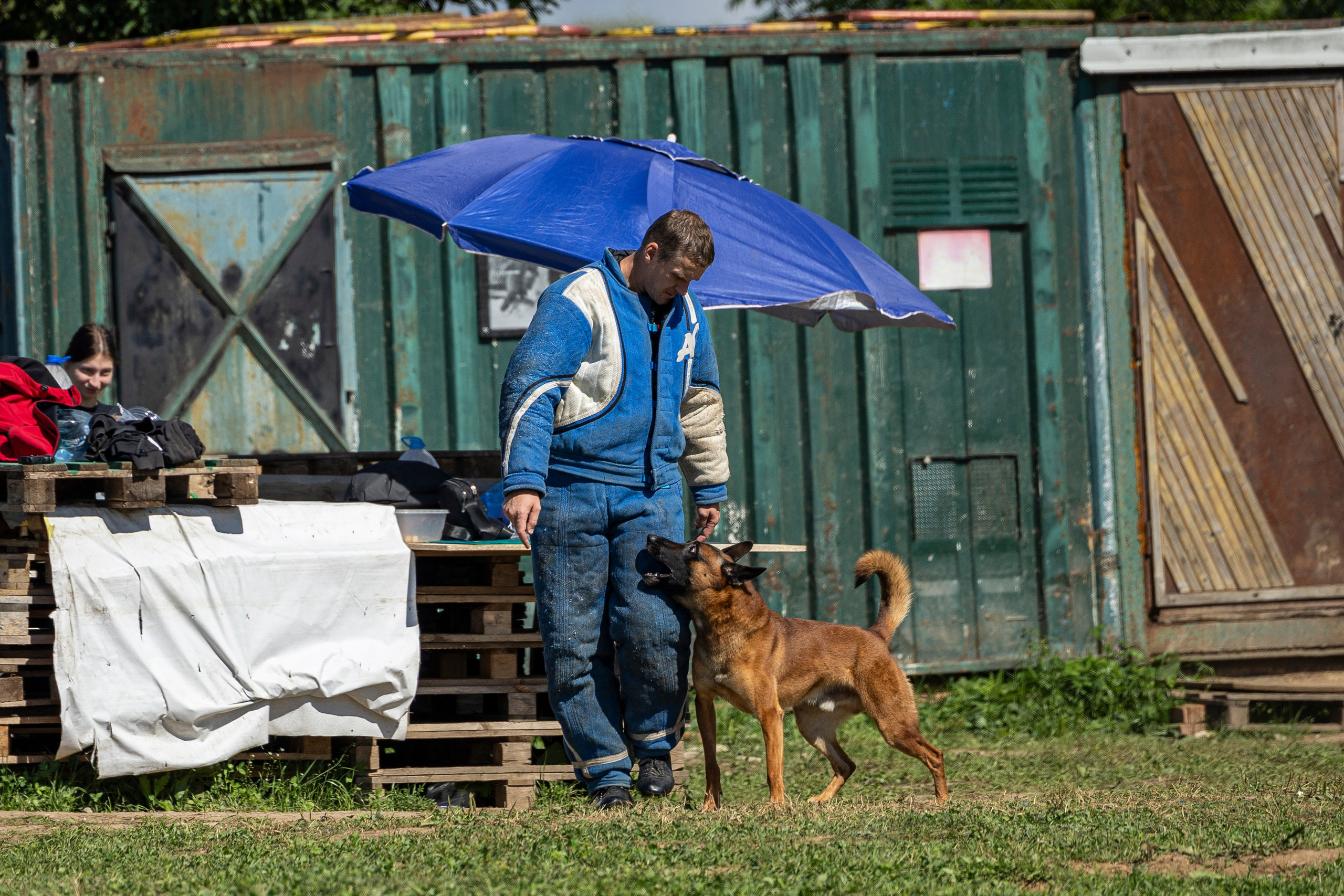 Соревнования по Мондьорингу г. Вологда 10-11.08.2024. Фотограф-анималист Анна Маринич