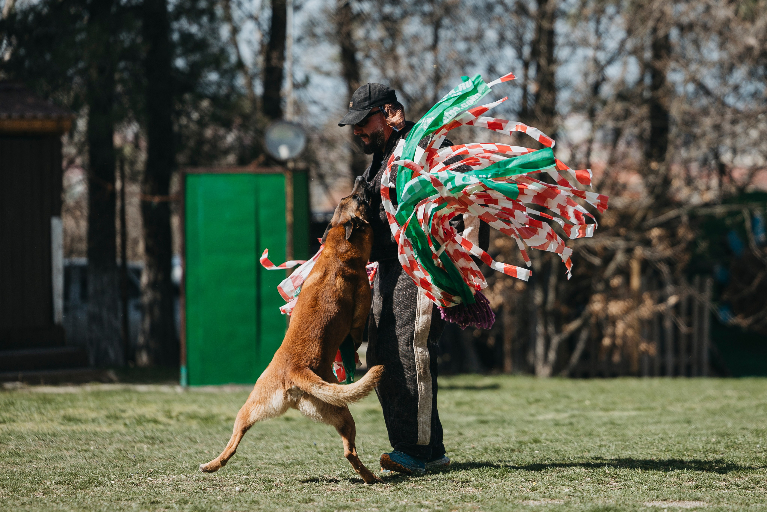 Геленджик Мондьоринг. Фотограф-анималист Анна Маринич
