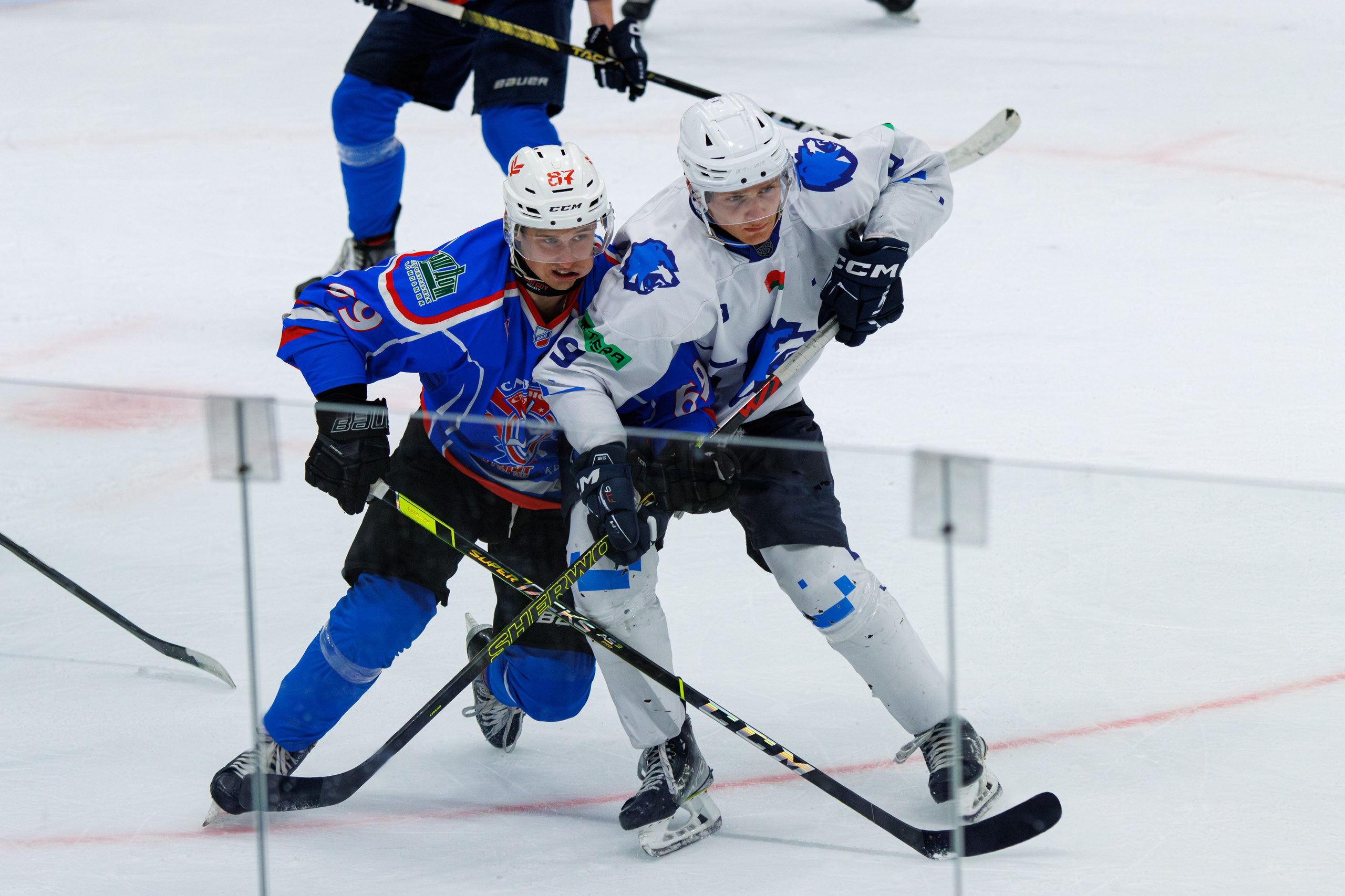 Хоккей. Спортивный фотограф Вадим Добедченков
