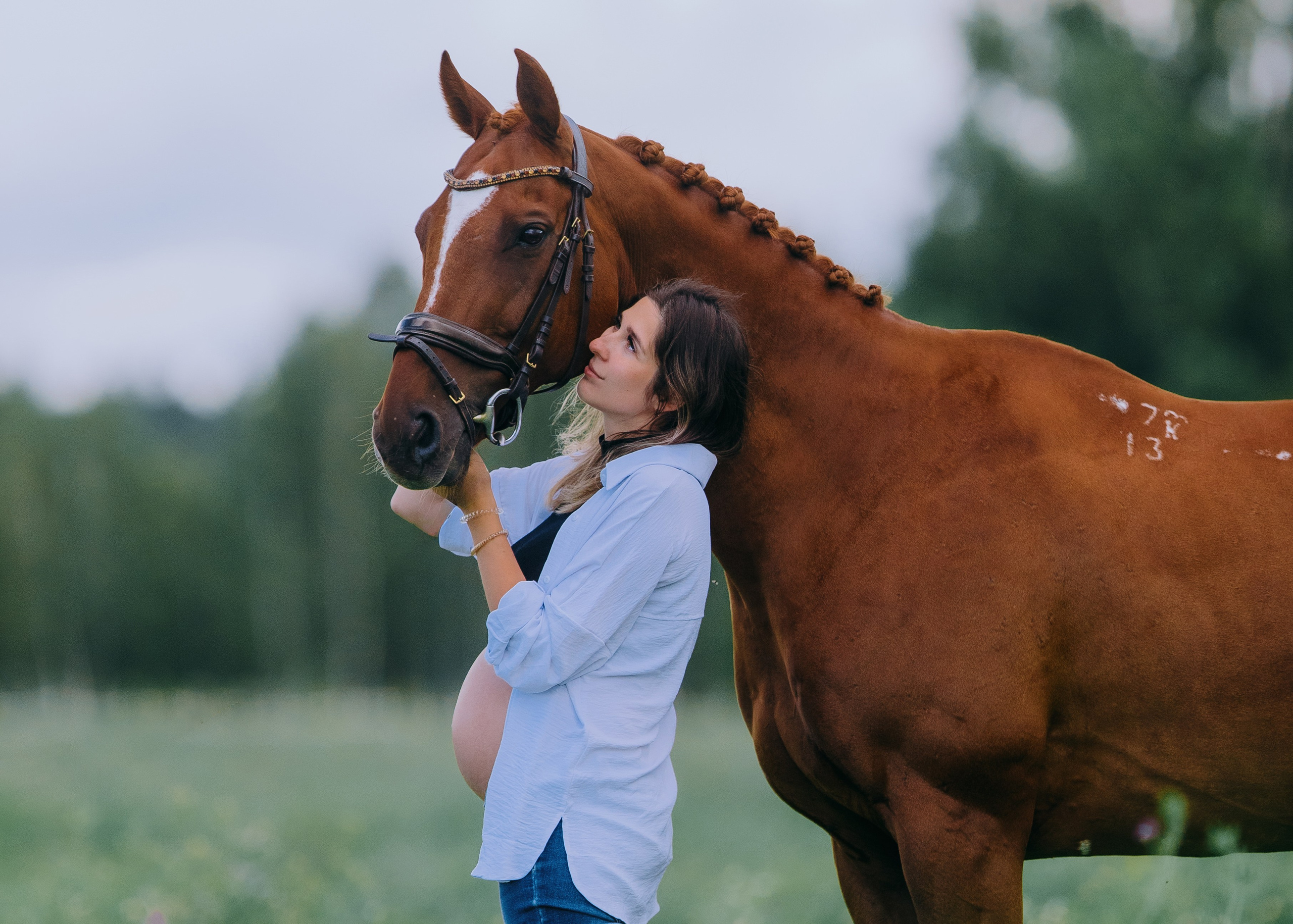 Лена, Серёжа, Петя и Брабус. Фотограф-анималист Ксендзова Кристина