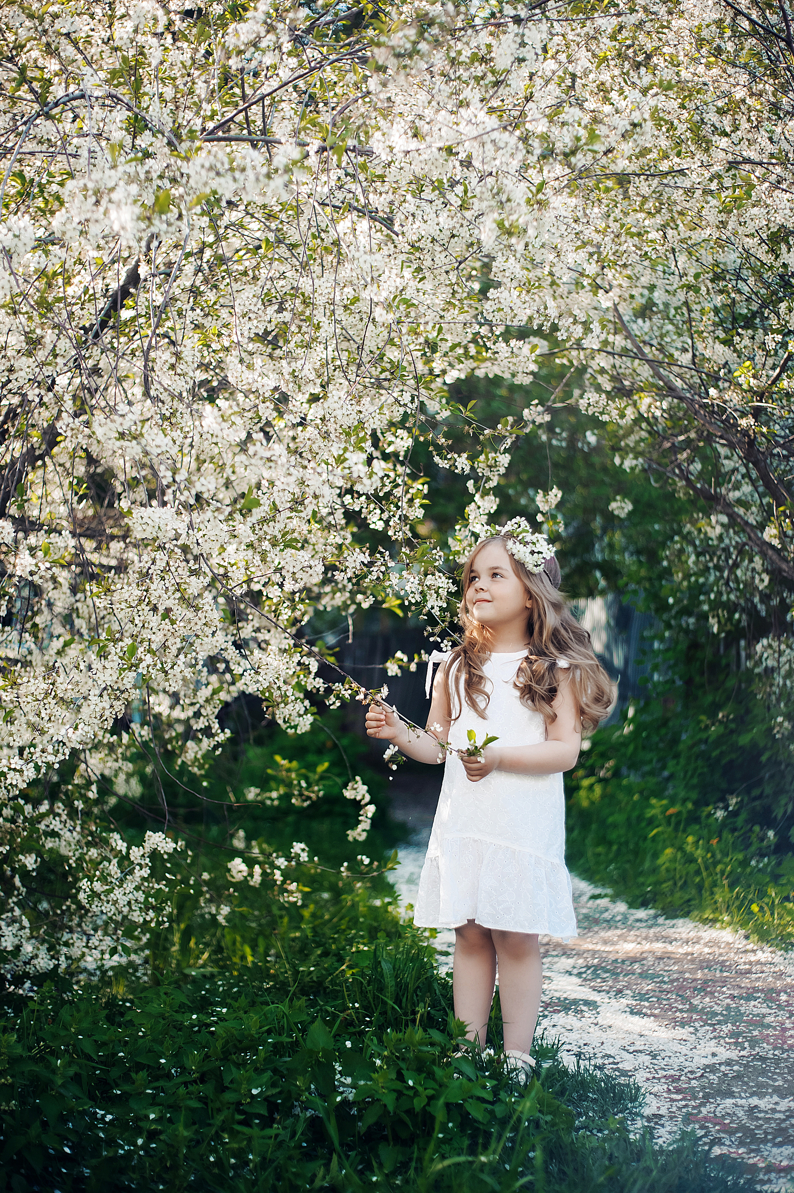 Майские вишни. Детский и семейный фотограф Москва Рязань
