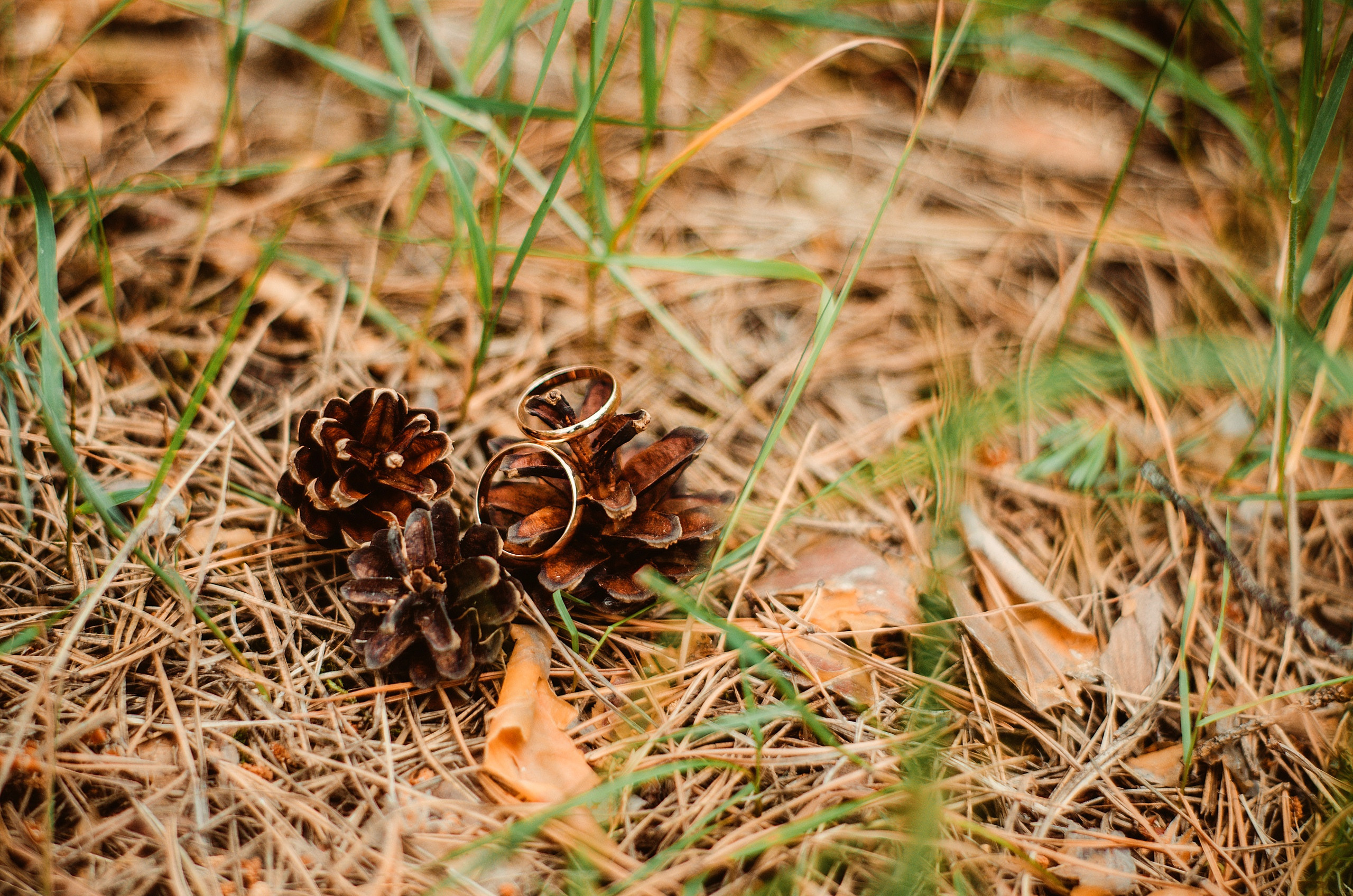 2019-2020. Детский и семейный фотограф Москва Рязань