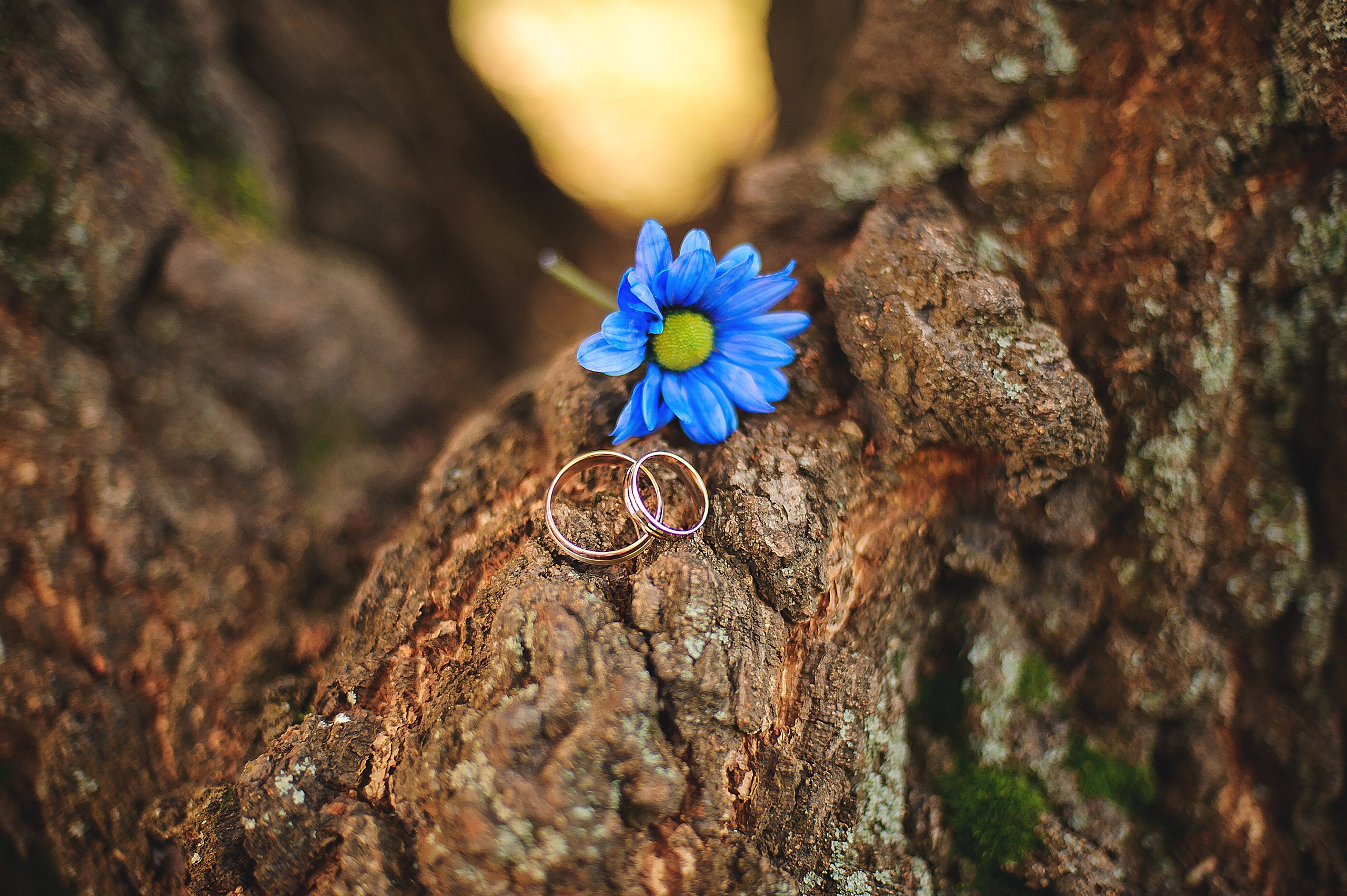 2017-2018. Детский и семейный фотограф Москва Рязань