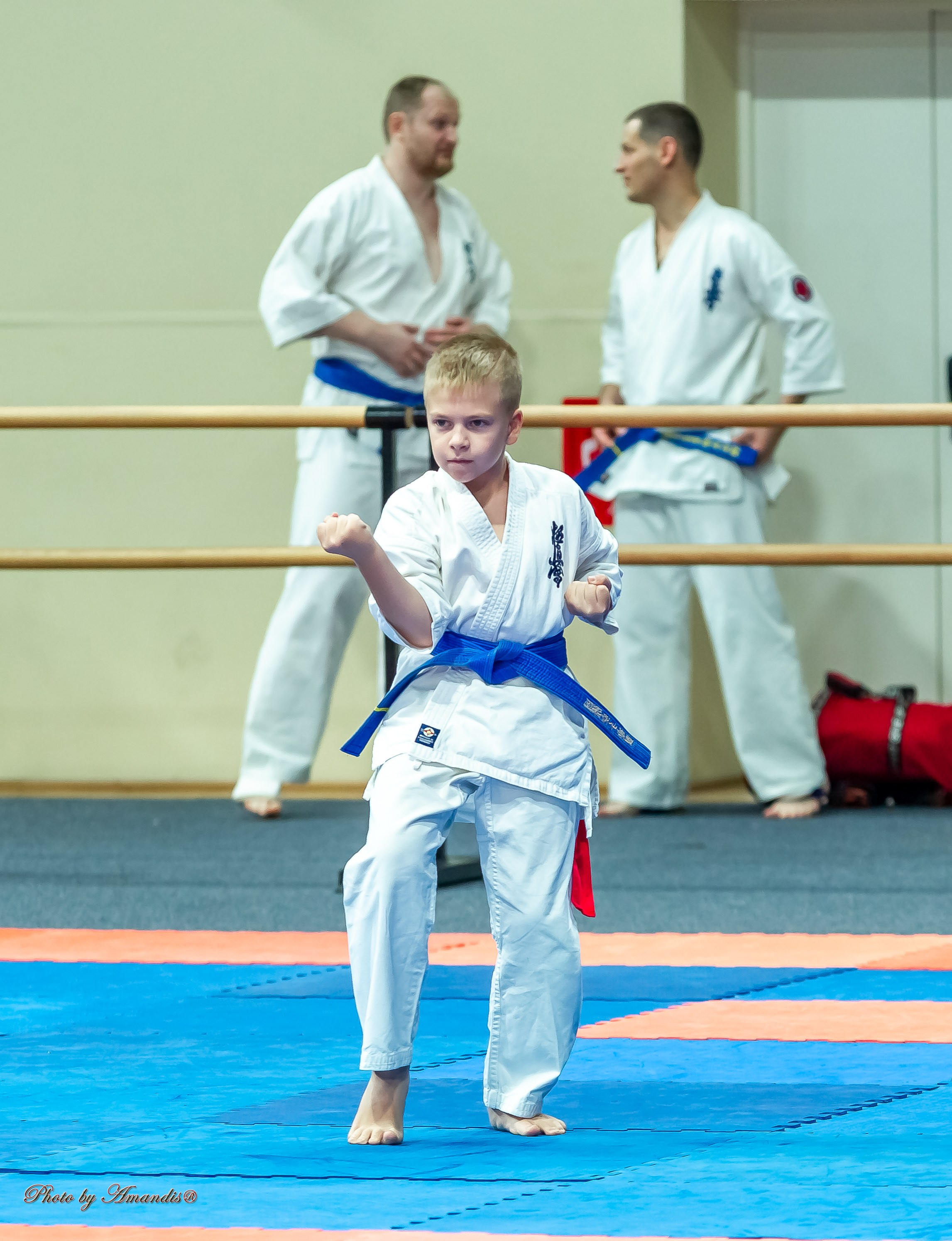 Первенство Московской области по Киокушин в СК «Жаворонки». Репортажная съемка в Москве и области. Анималистика