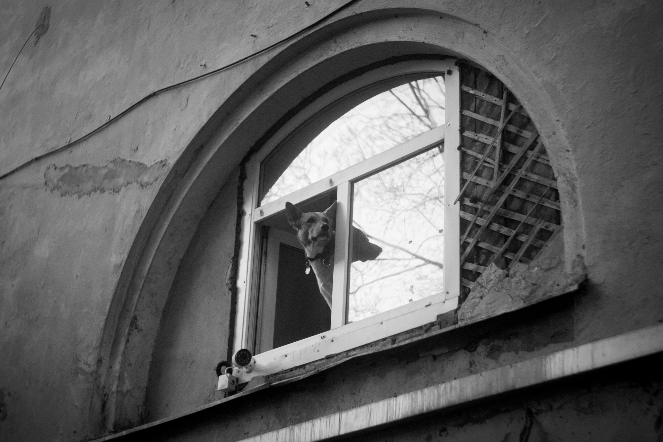 Bardo / Чёрно-белые сны. Роман Ходырев — художник, фотограф, музыкант, эзотериолог. Санкт-Петербург, Рига