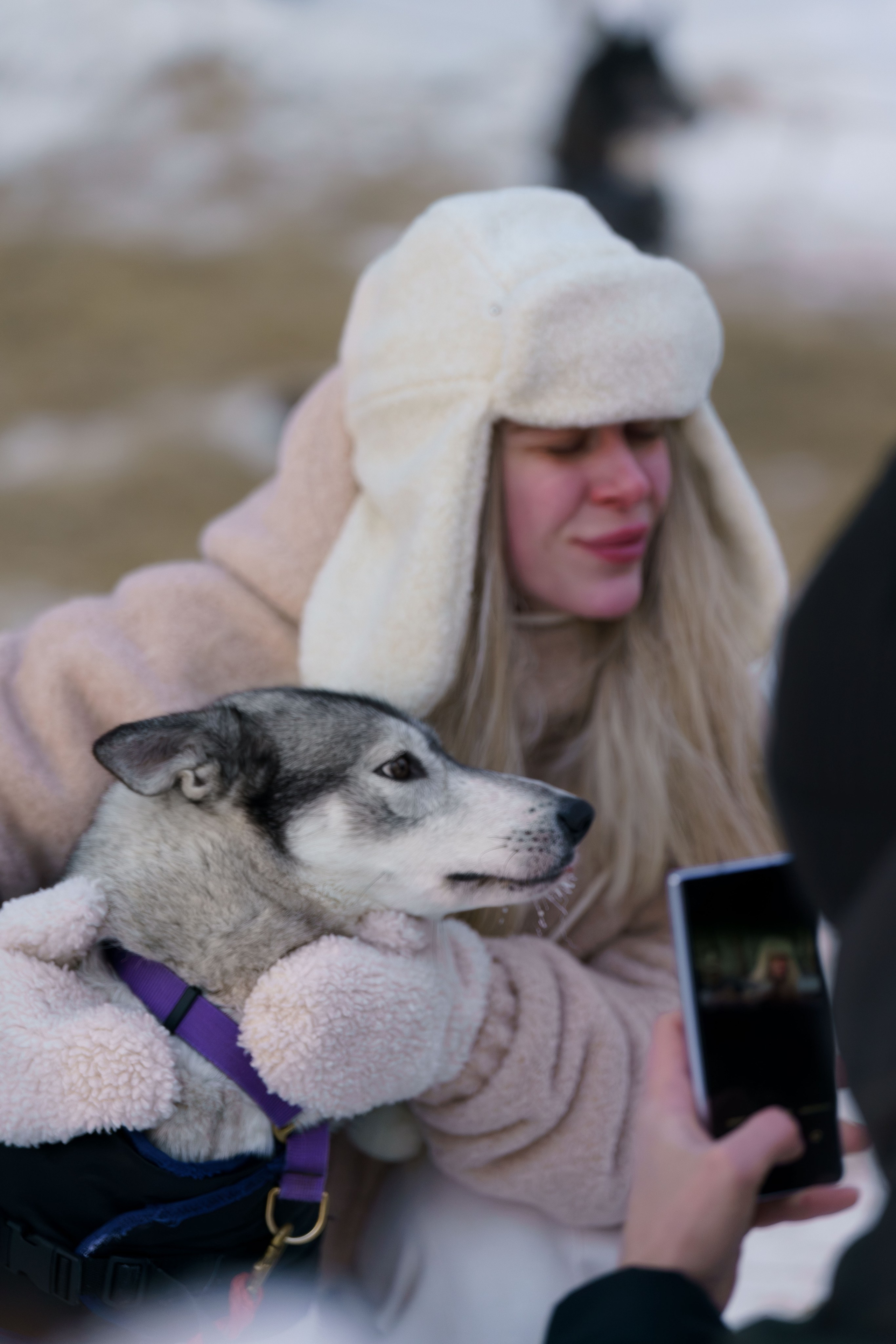 Катания на упряжке. Фотограф-анималист в Санкт-Петербурге