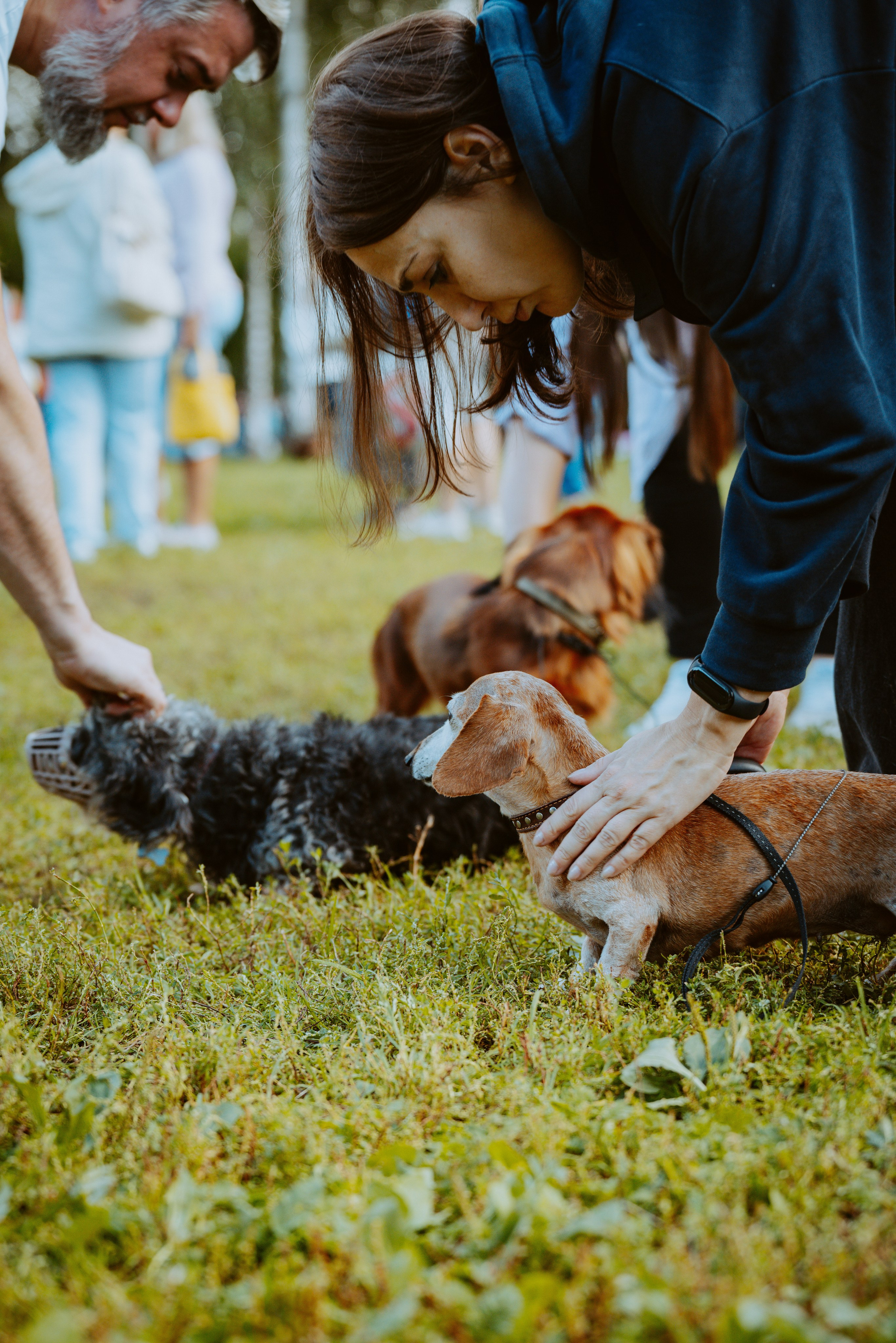 Такспарад. Фотограф анималист в Спб недорого Олеся Майорова