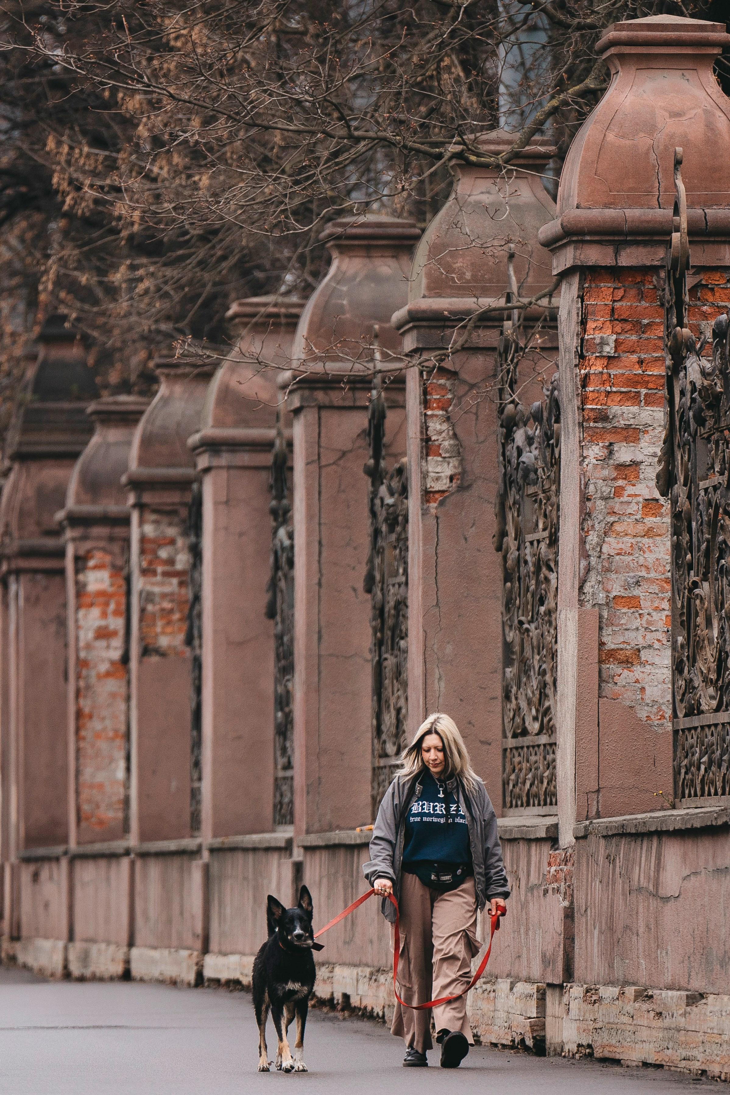 Эля и Шиза. Фотограф анималист в Спб недорого Олеся Майорова