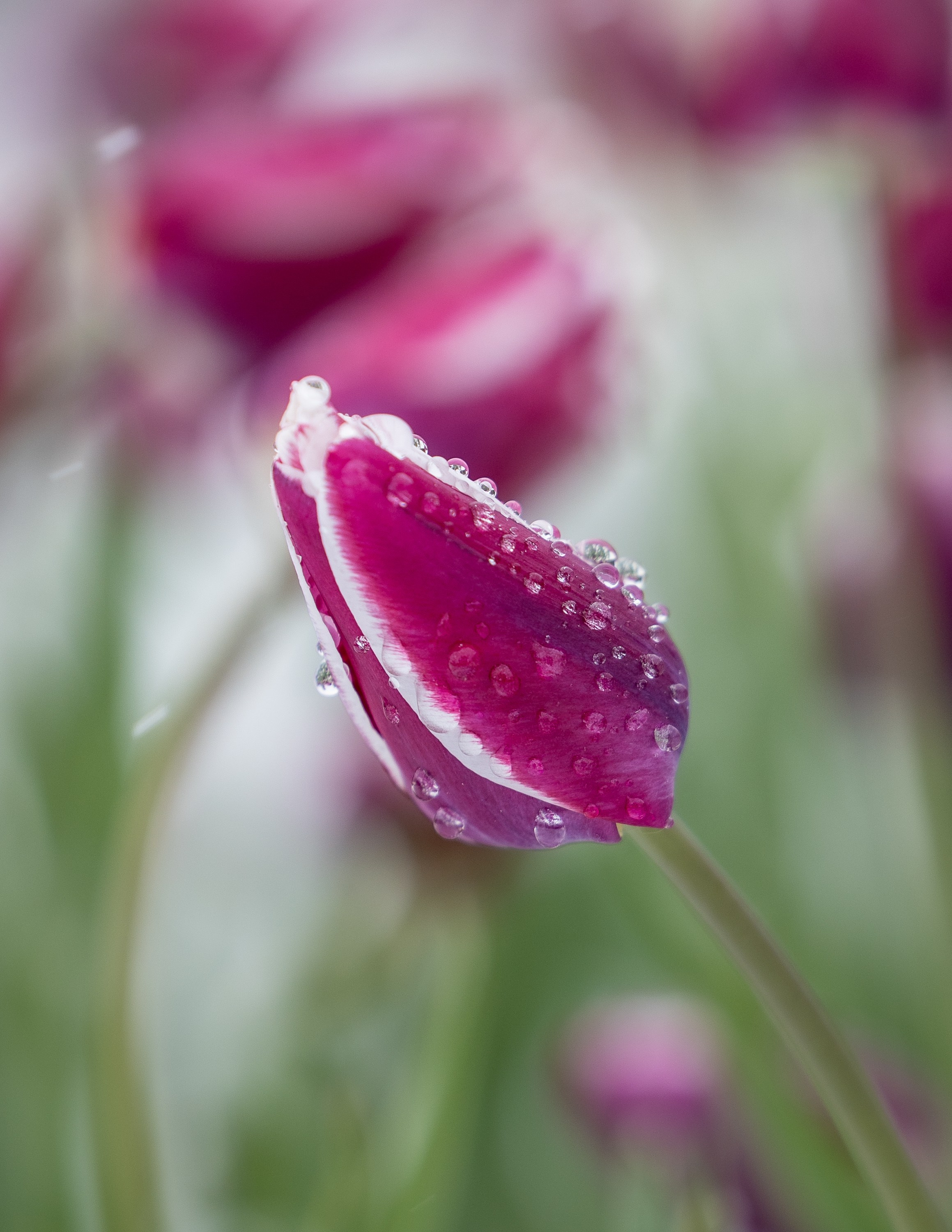 Городской пейзаж. Фотограф Владимир Охрименко