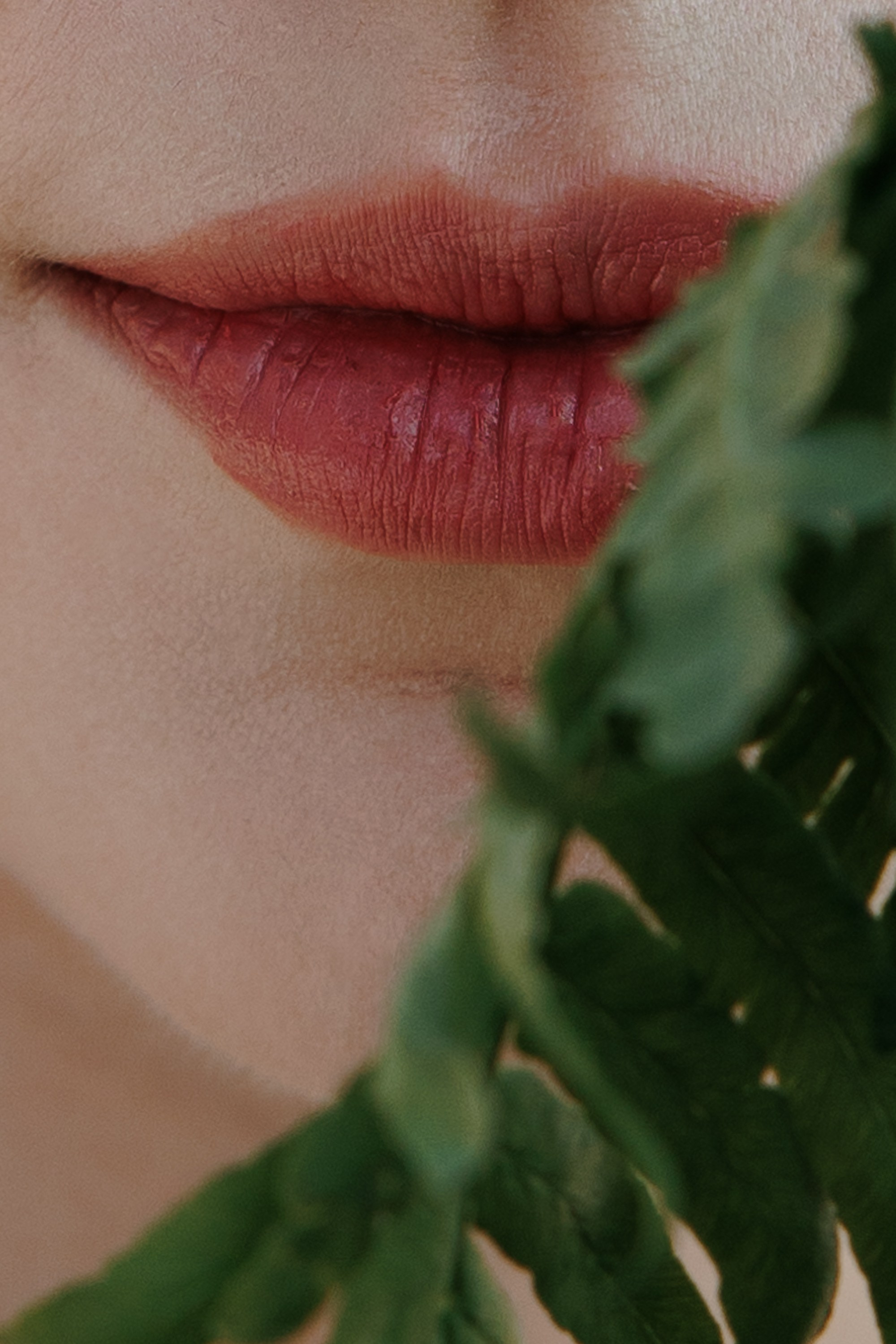 Дмитрий и Мария. Свадебный фотограф