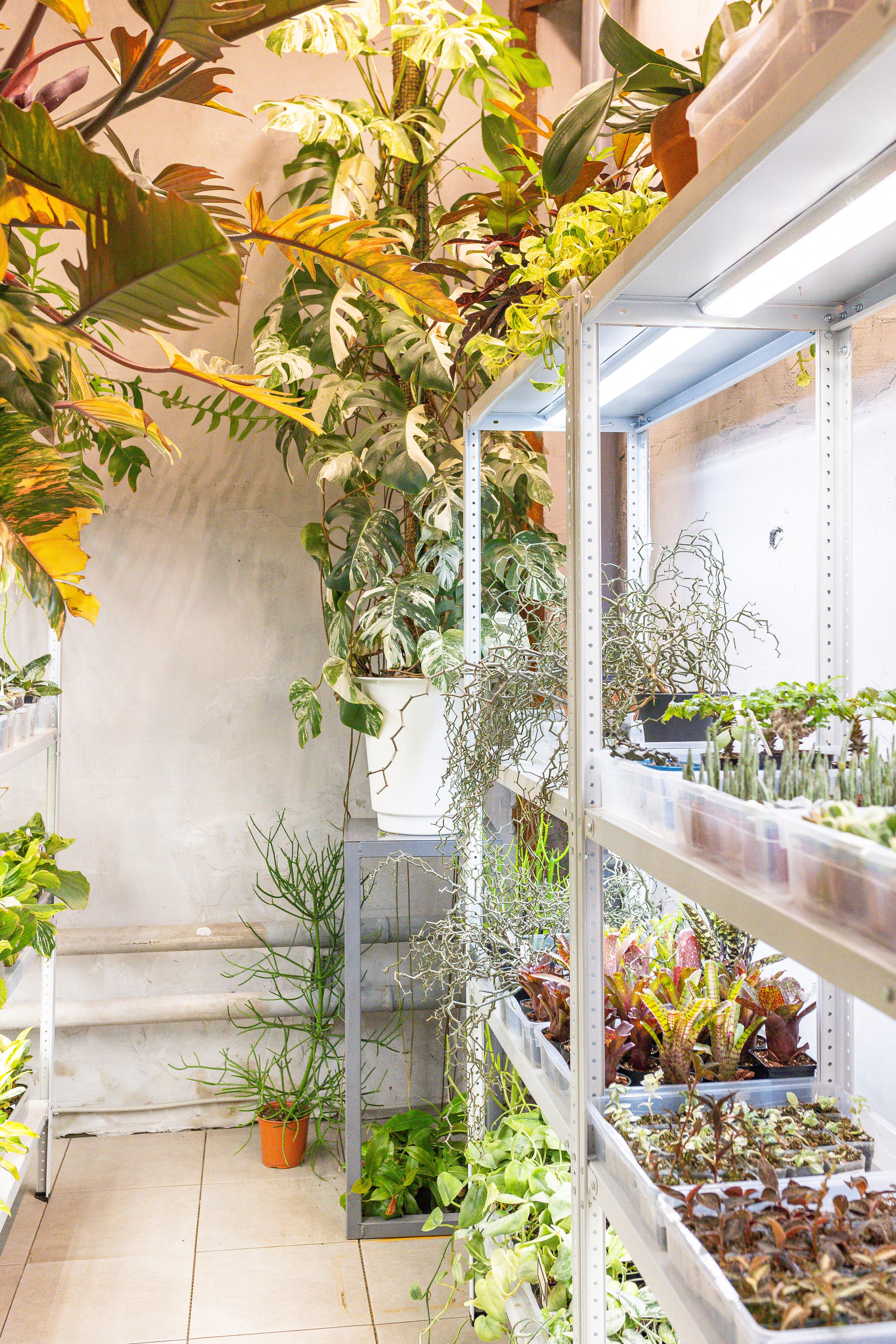 Ярмарка Green Rare 20.09.25. Александра Куликова фотограф, Москва