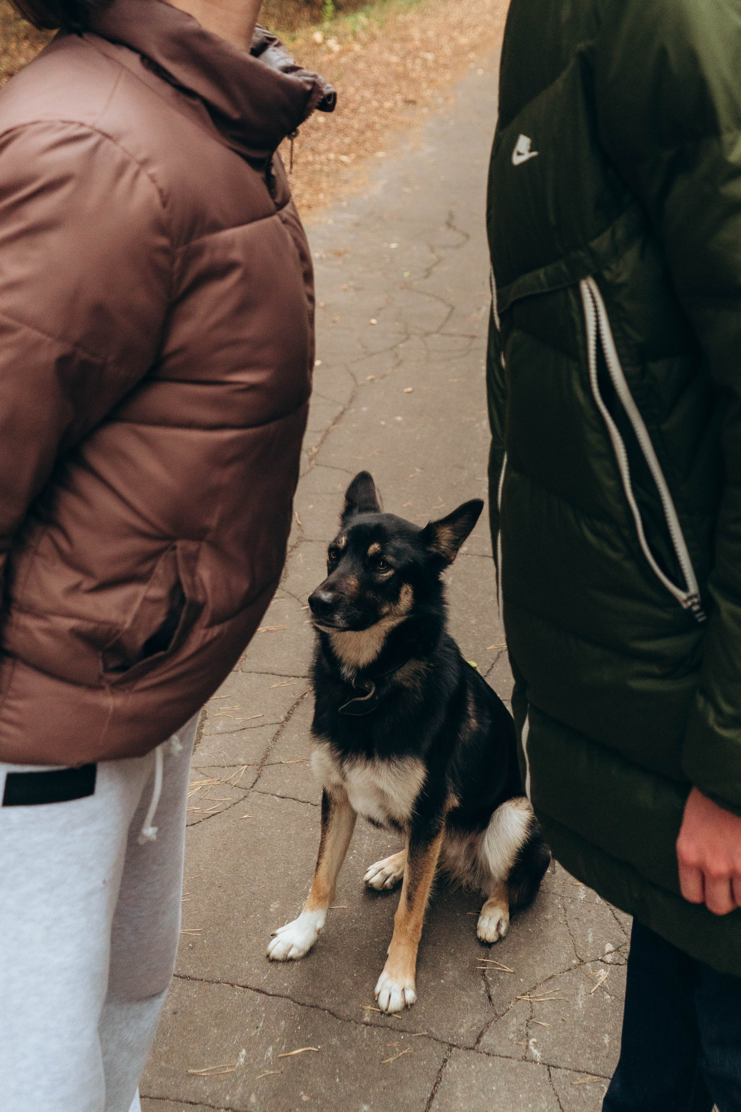 Даша, Леша и Гарри