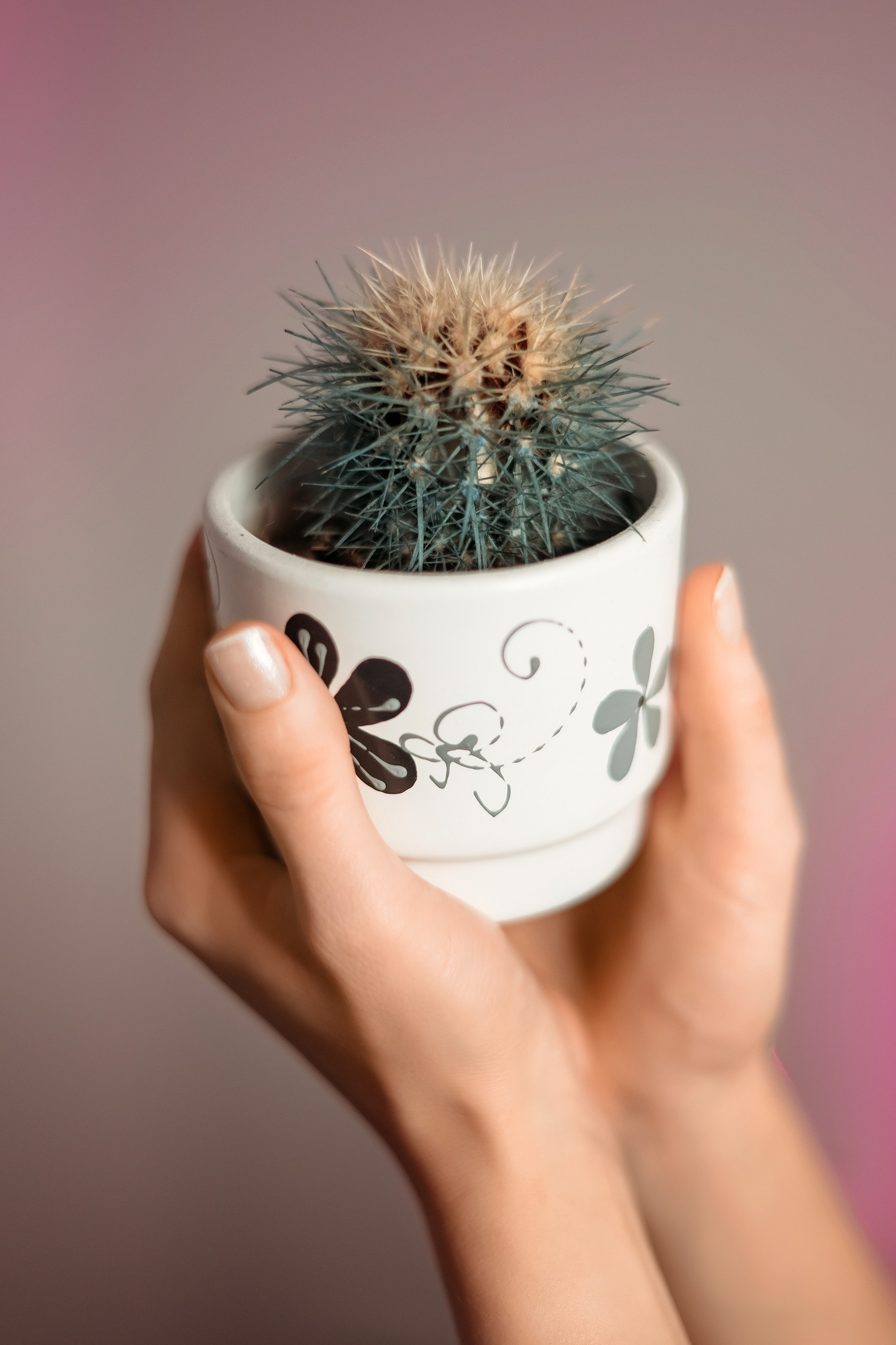 Контент съемка. Фотограф в Гродно Ольга Лукуть