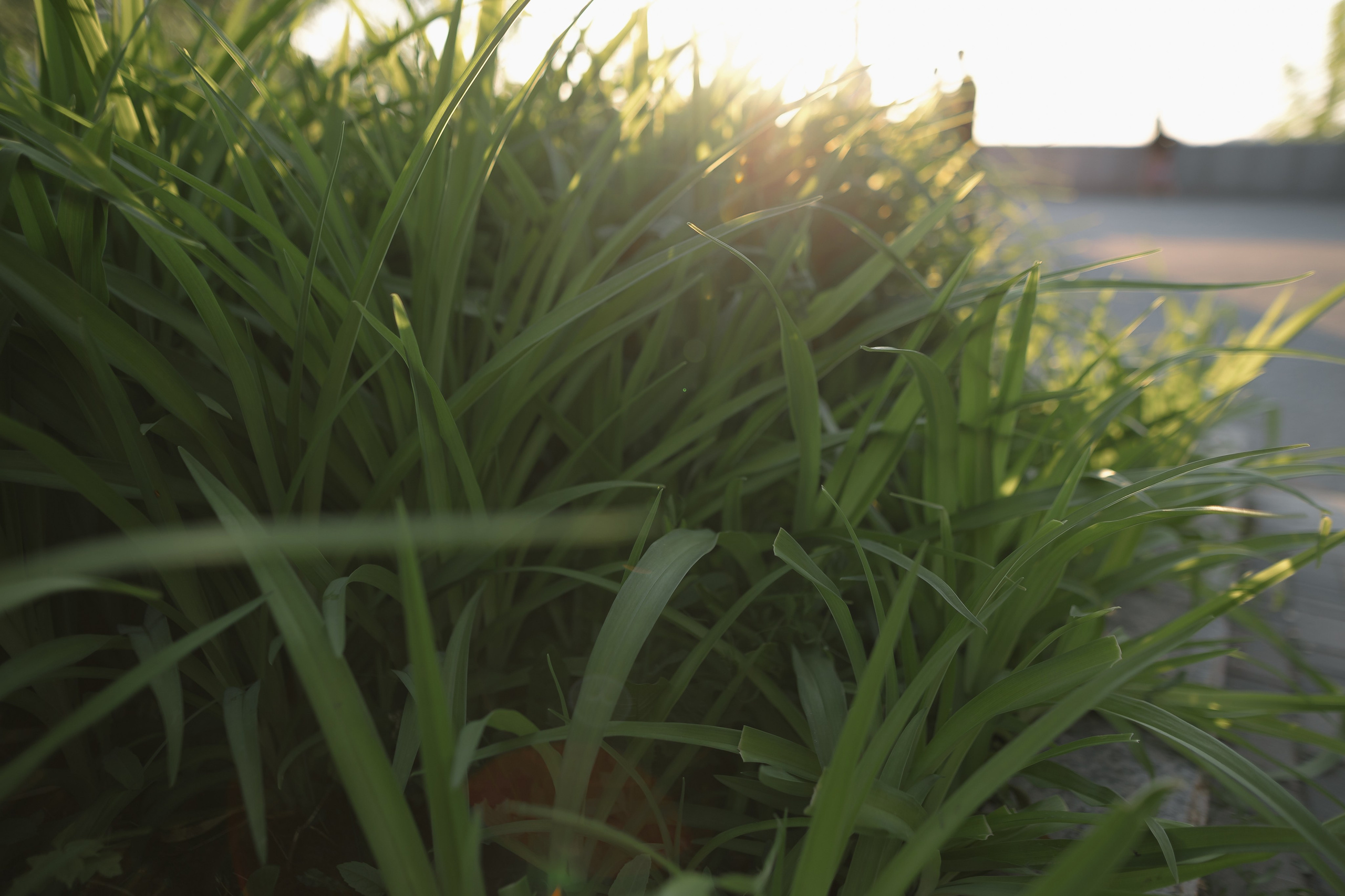 Илья и Полина. Свадебный и семейный фотограф в Самаре Посконнова Анна