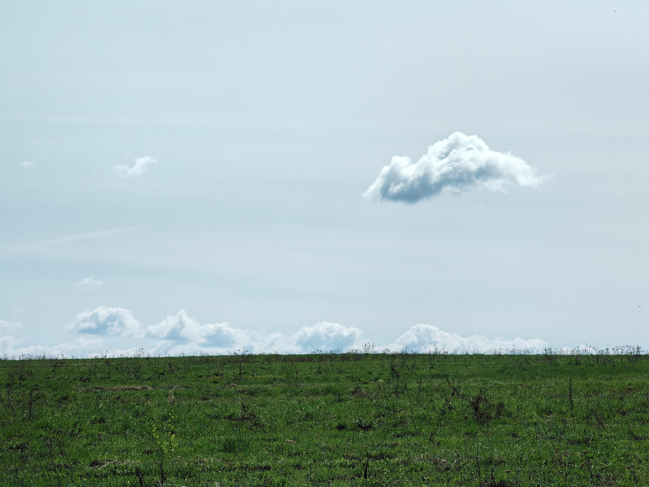 Галерея Huawei p60. Константин Устинов — фотограф