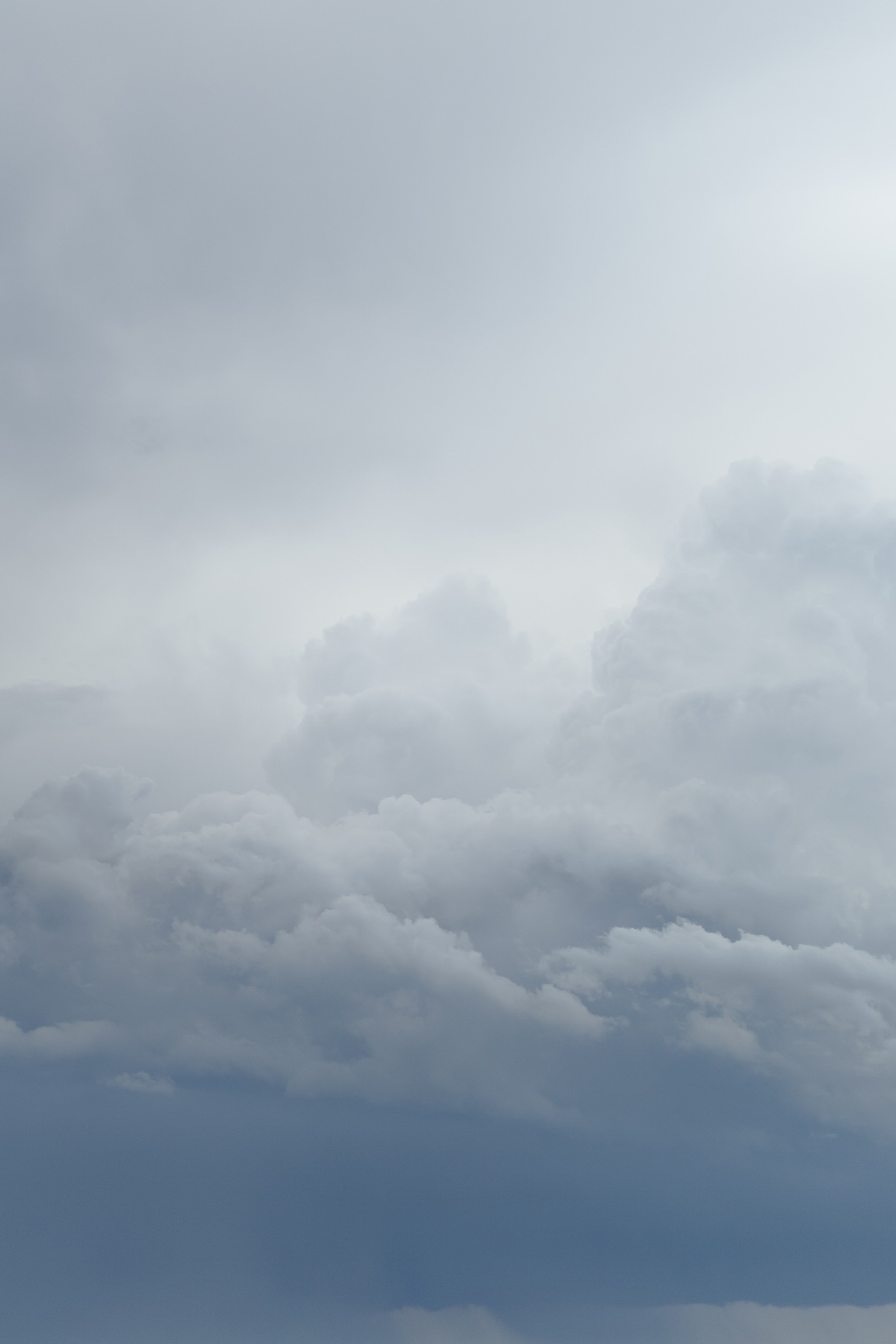 Свадьба Никиты и Полины. Фотограф Кольчугино/Владимир/Москва Елизавета Иода