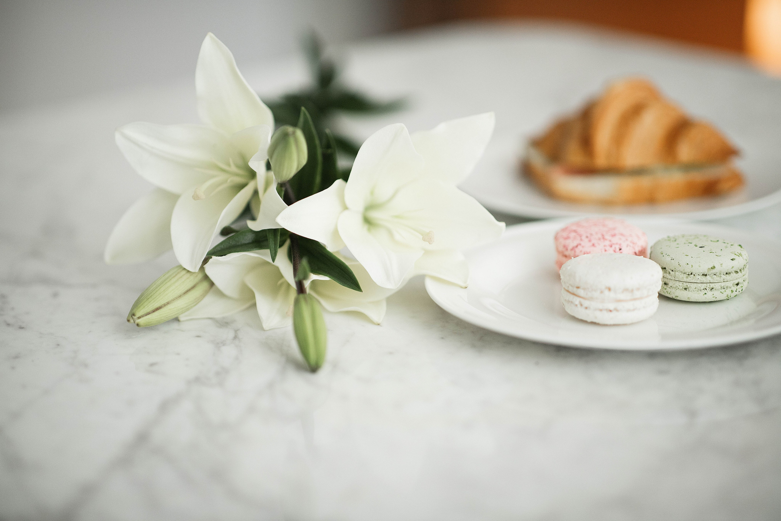 Катерина и Сергей. Свадебный фотограф Ростов-на-Дону Виолетта veslers.ph