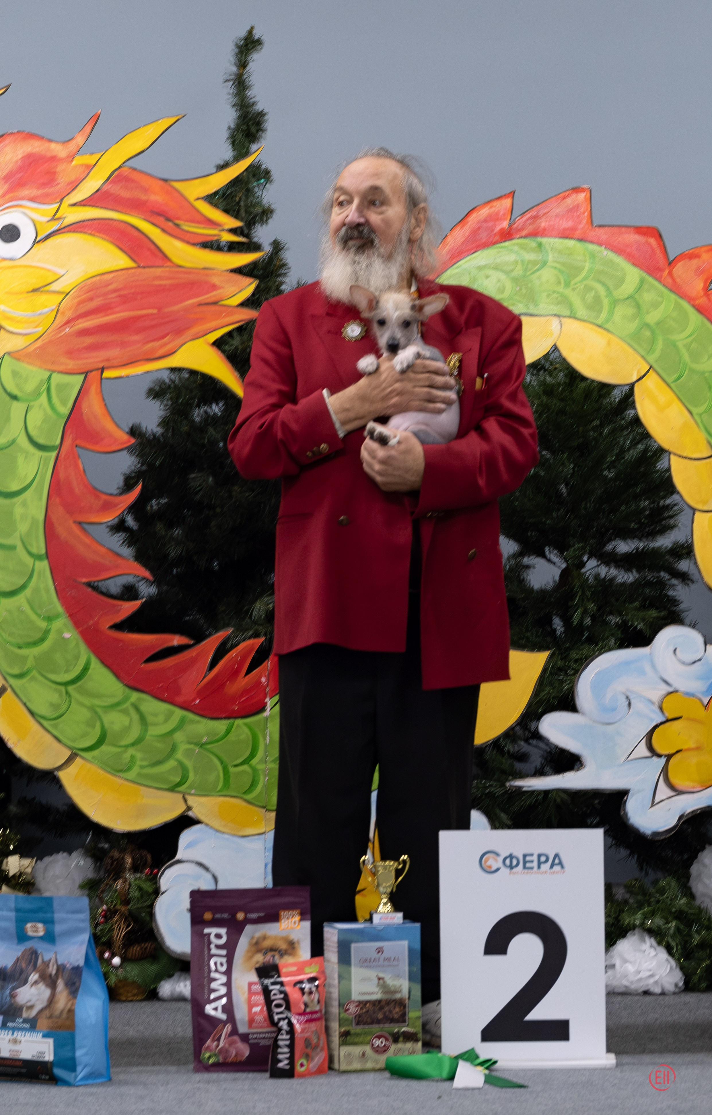 Праздник породы «Яркий мир китайских хохлатых собак». Питомник китайских хохлатых собак Poale Ell: купить щенка