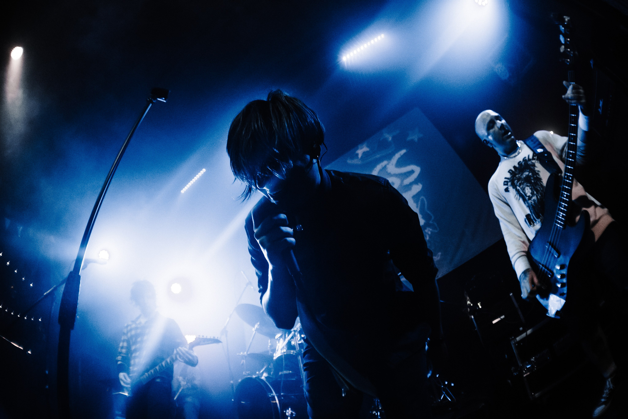 WITNESS EFFECT | 19.04.25 | Ласточка