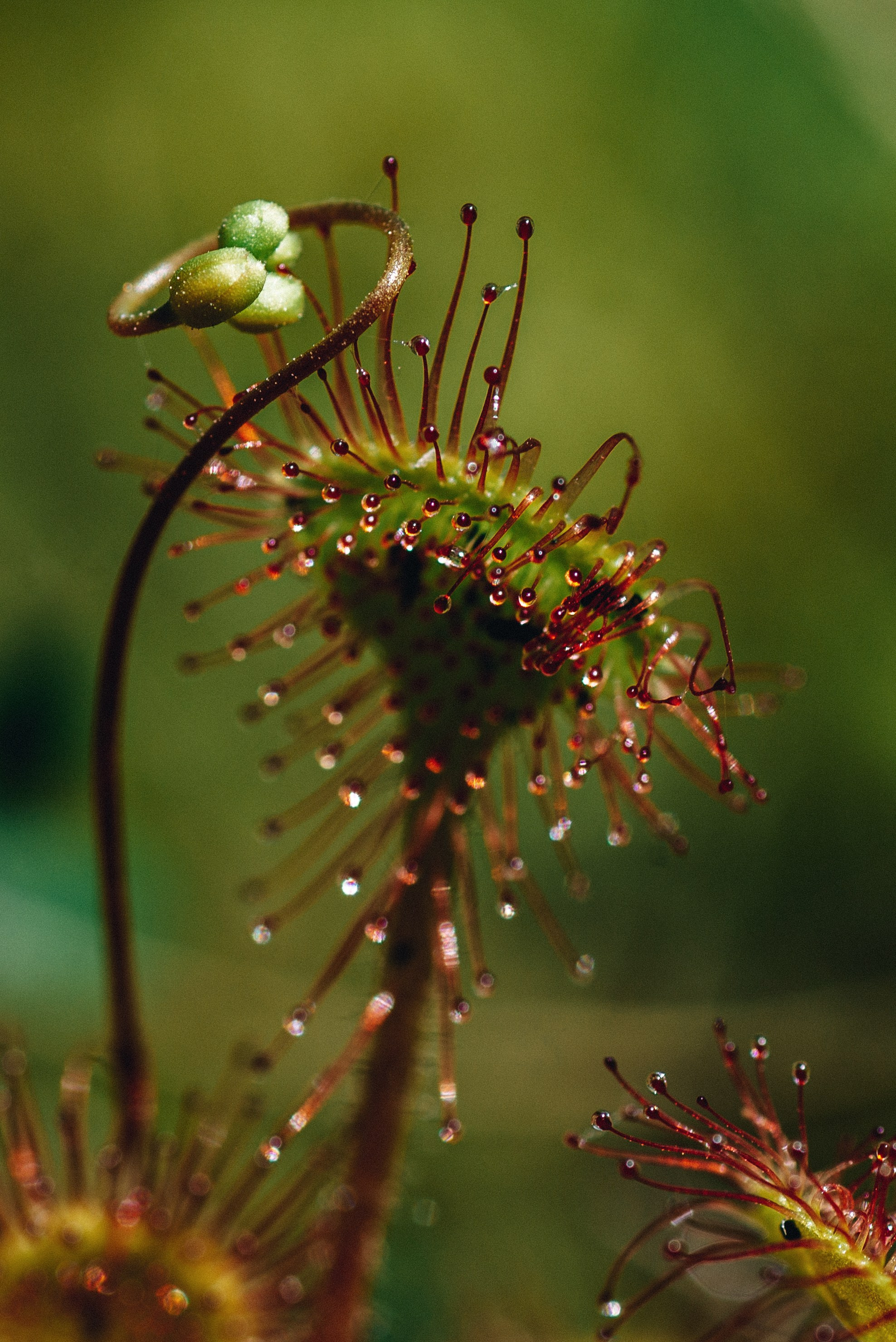 Фотопленэр — Подвальские террасы и болото. Фотообъединение Самарского областного отделения Союза журналистов России
