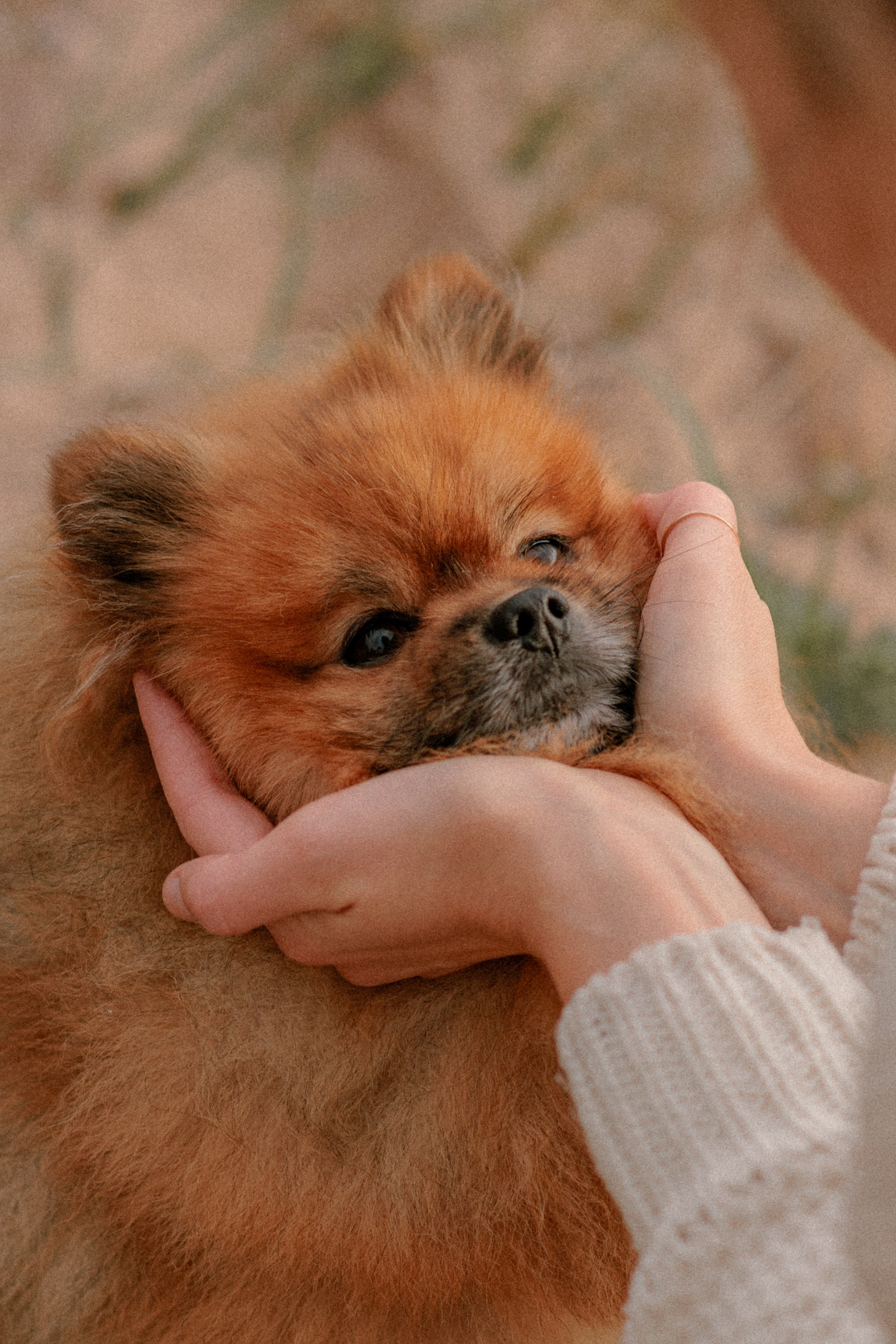 Маргарита и Космос. Фотограф в Санкт-Петербурге Алёна Губинская