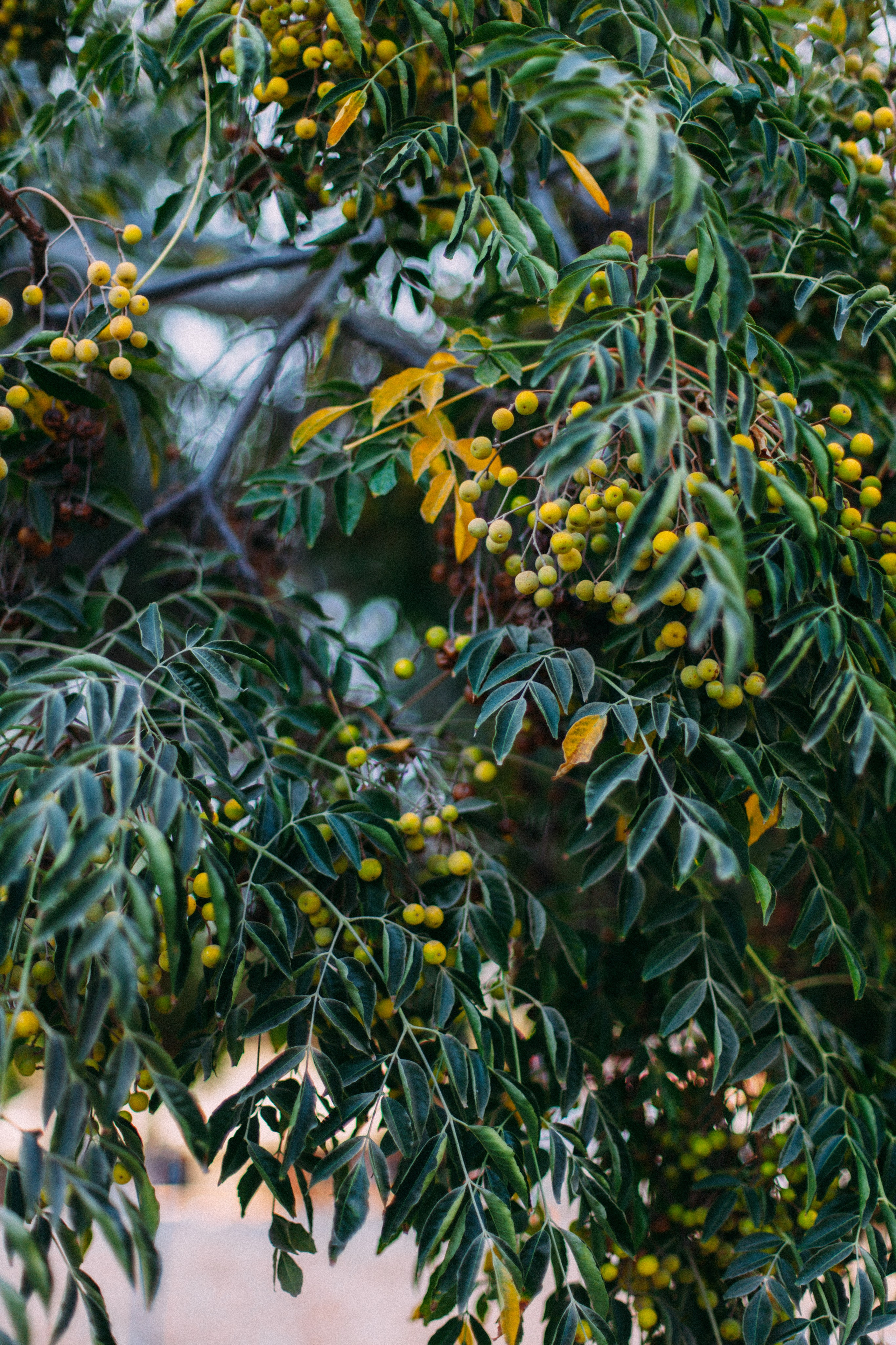 Кипр. Аня Степанова