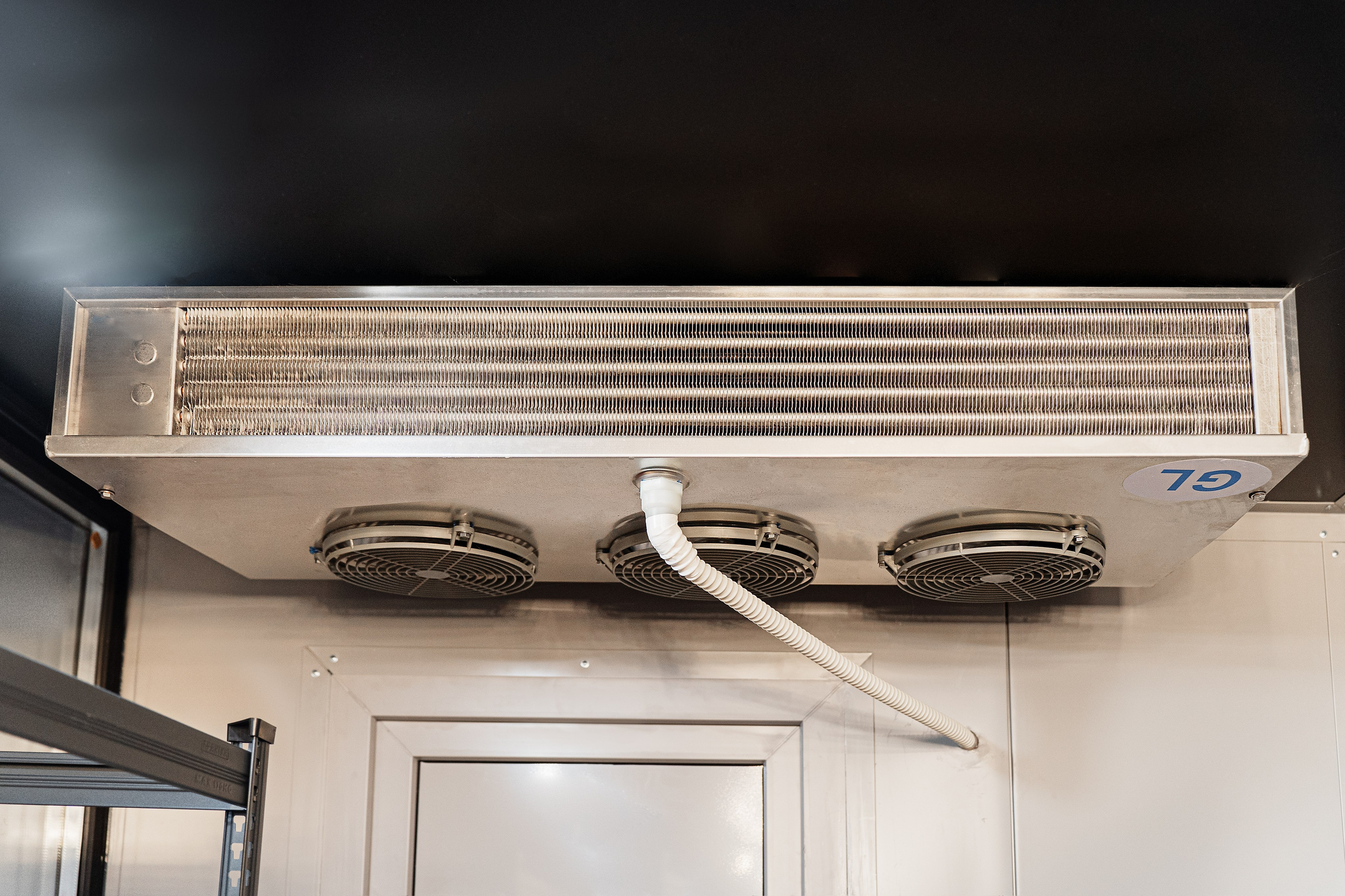 Регион холод. Елена Пашкевич, фотограф, Москва