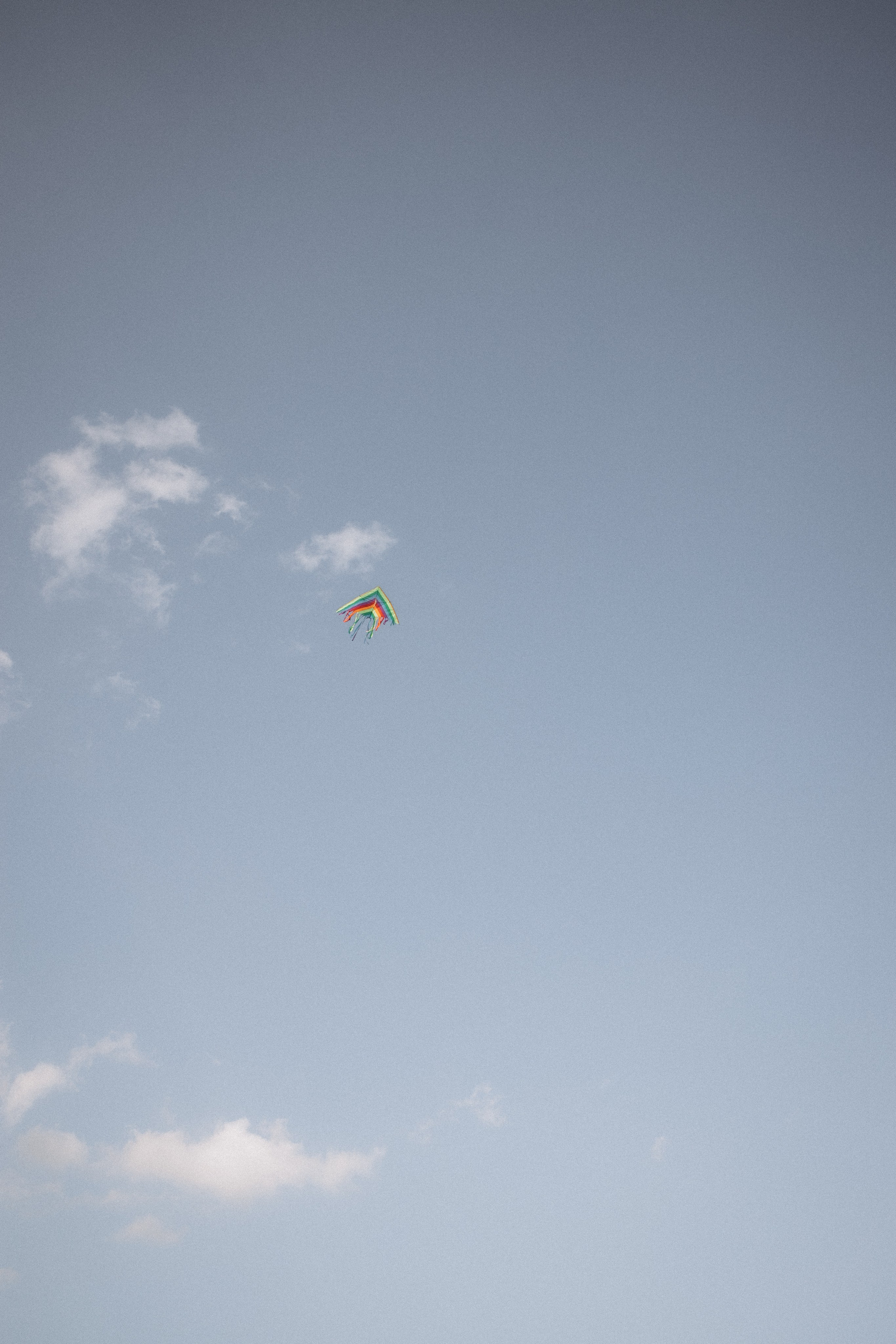 Саша, Женя, Никита и Саша. Семейный и свадебный фотограф Анна Кожокарь