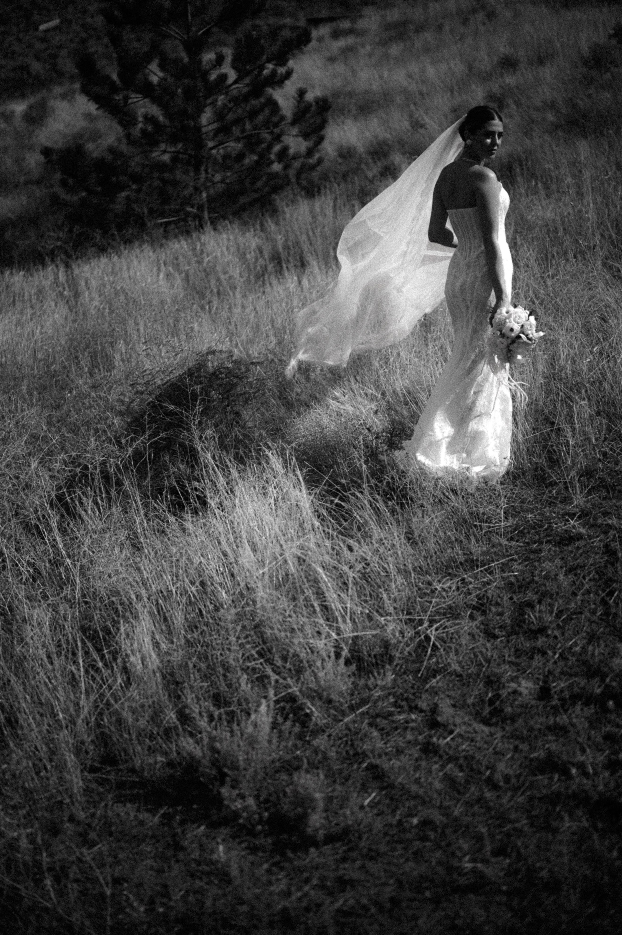 Ветер степи. Свадебный фотограф в Астрахани и Москве