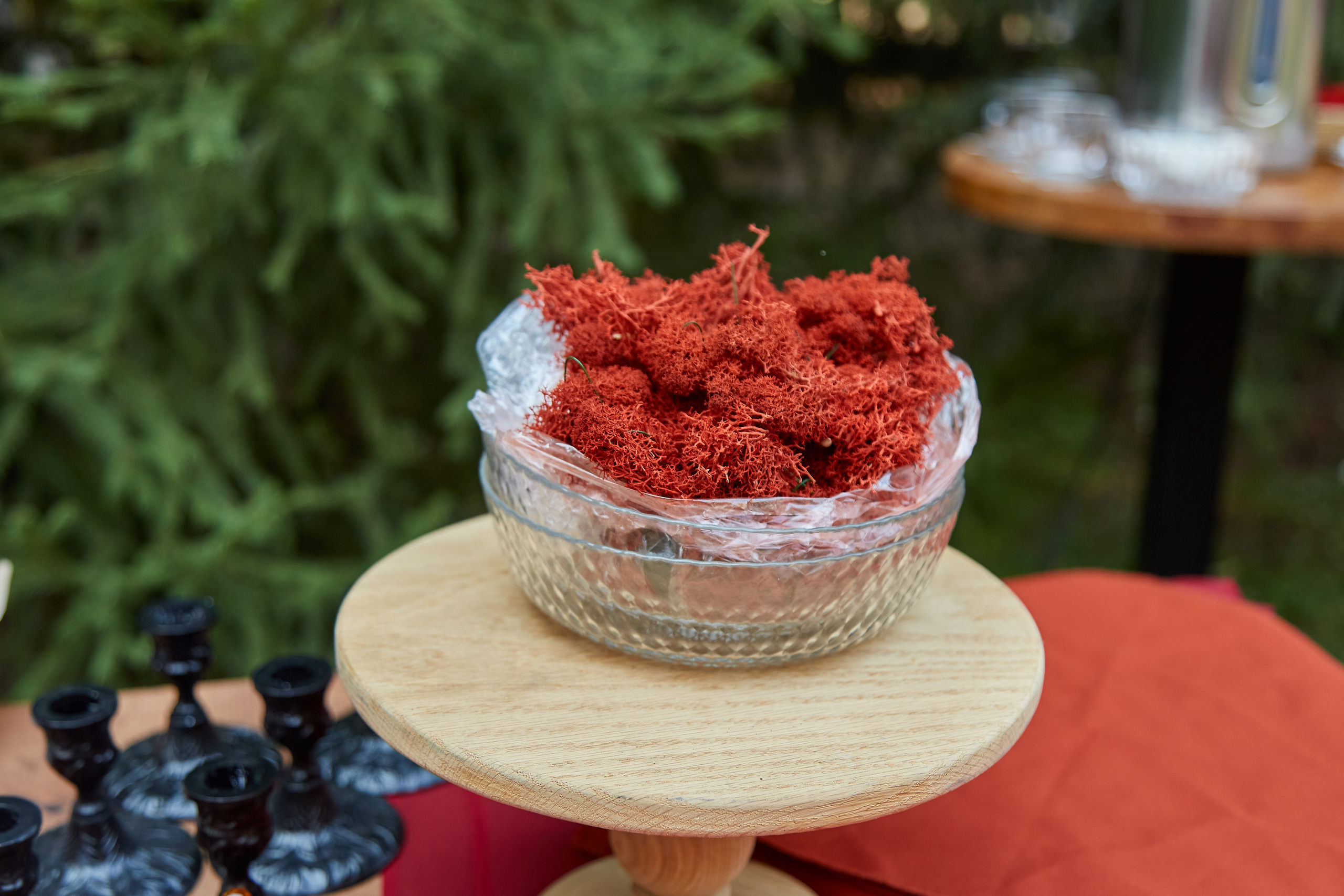 Ирина и мастер класс по декорации. Фотограф Барнаул Фатыхов Тимур