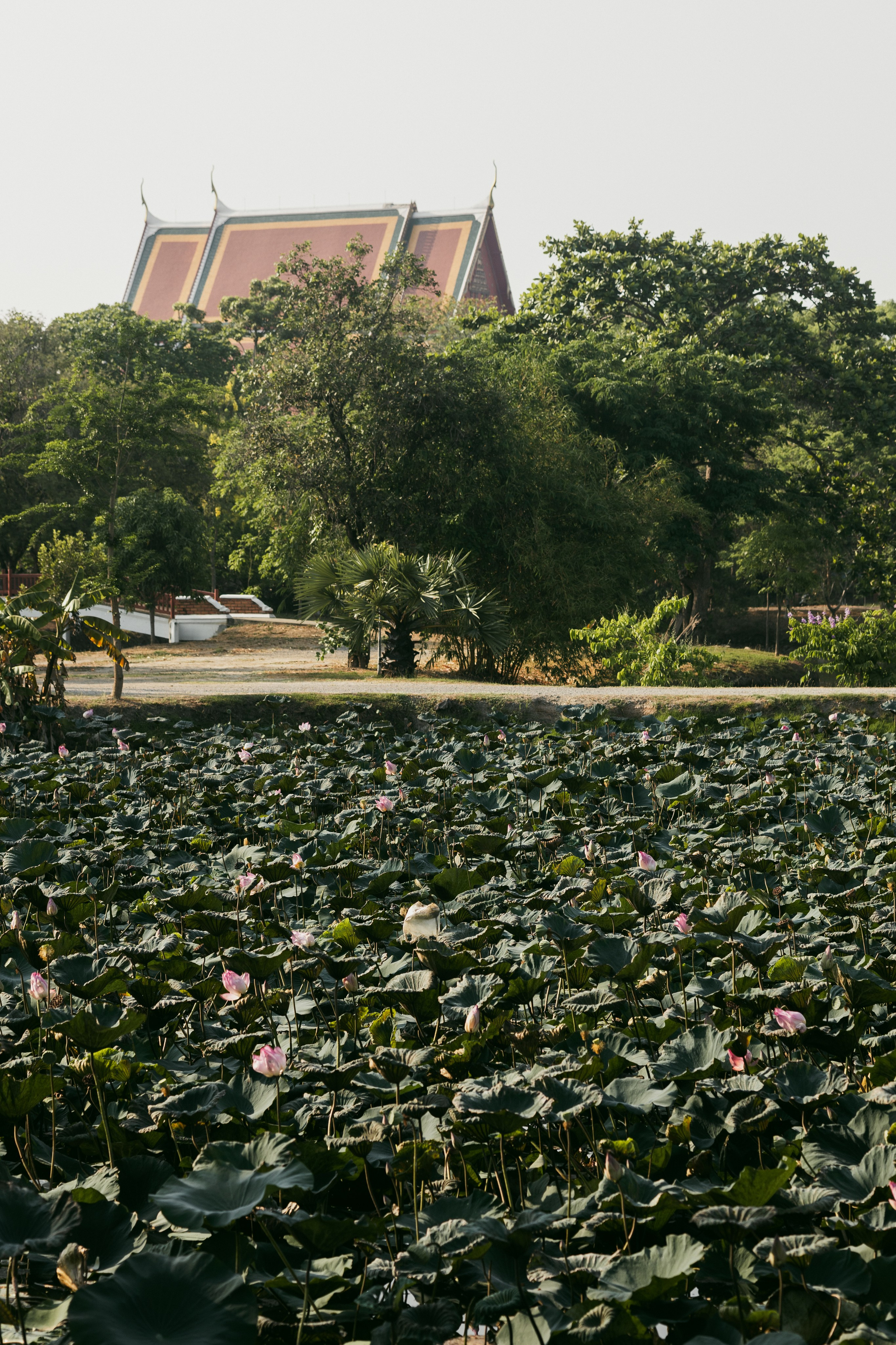 Ayutthaya. Photographer Sonkina Tatiana (Tanya Ash)